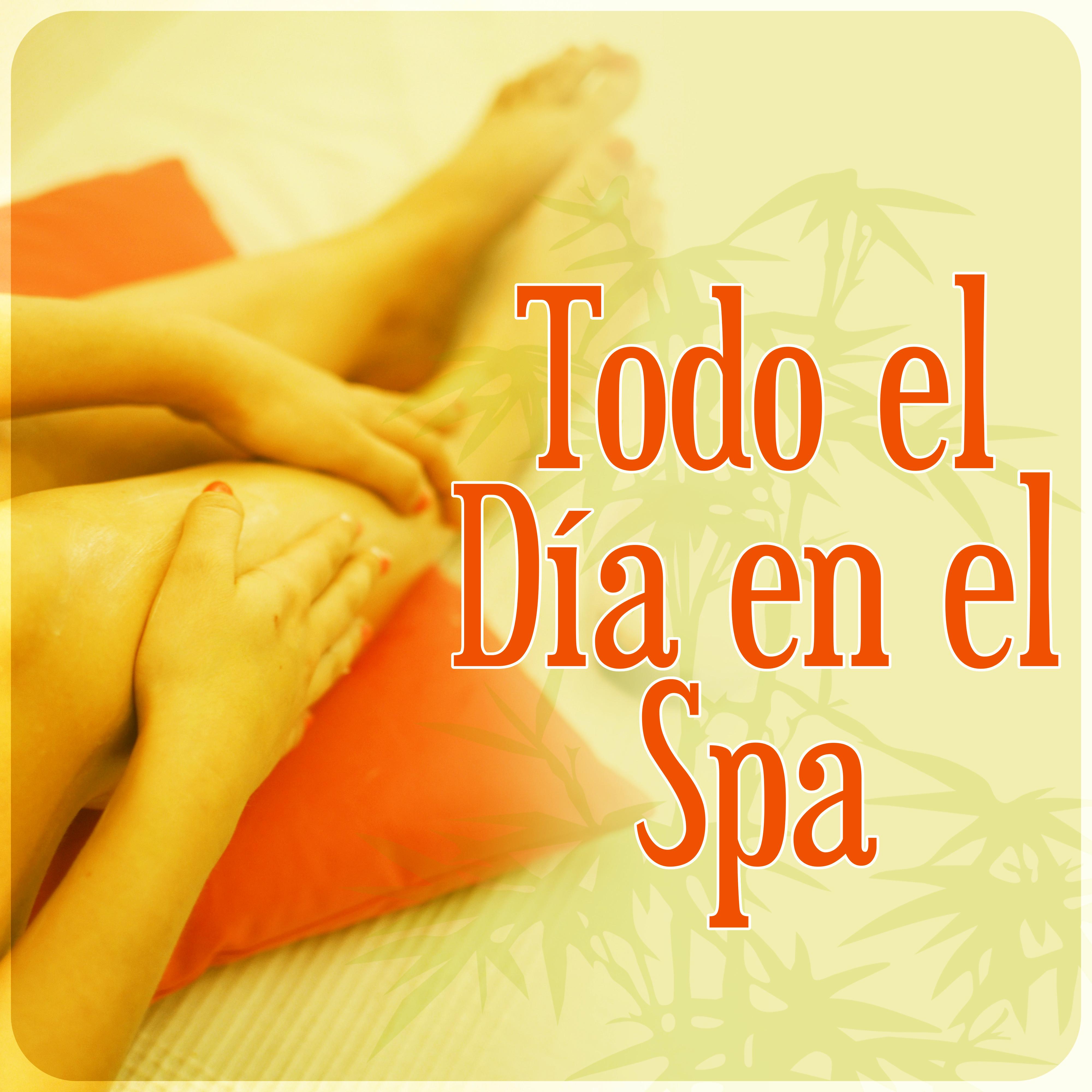 Todo el Día en el Spa – Maravilloso Spa, Sonidos de la Naturaleza, Musica de Meditacion, Música SPA para Masaje y Relajación Ejercicios, Relaje Su Cuerpo y Su Alma Usando Aromaterapia,