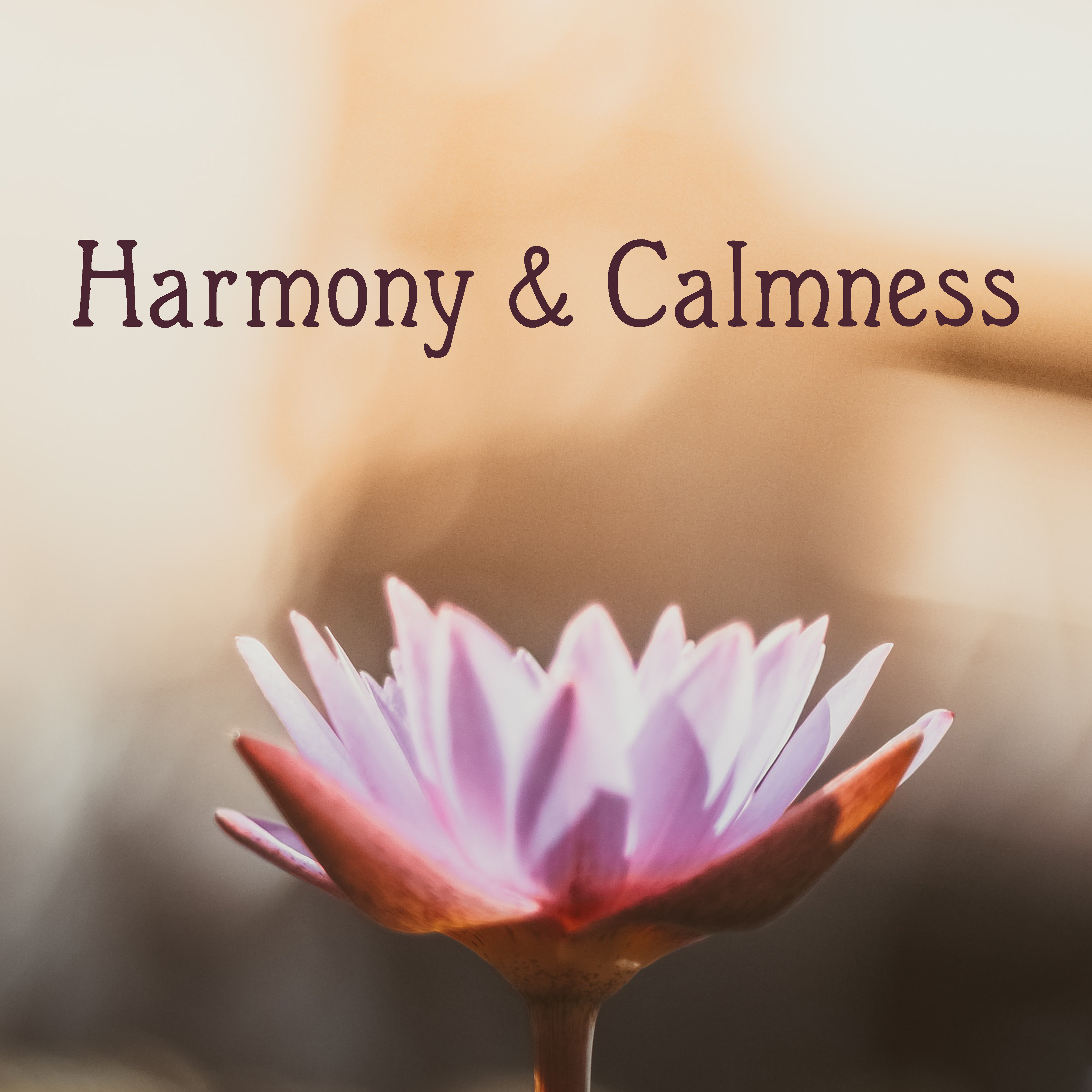 Harmony & Calmness – Ambient Music, Training Yoga, Deep Sleep, Reiki, Zen, Relax, Deep Meditation, Calm Down