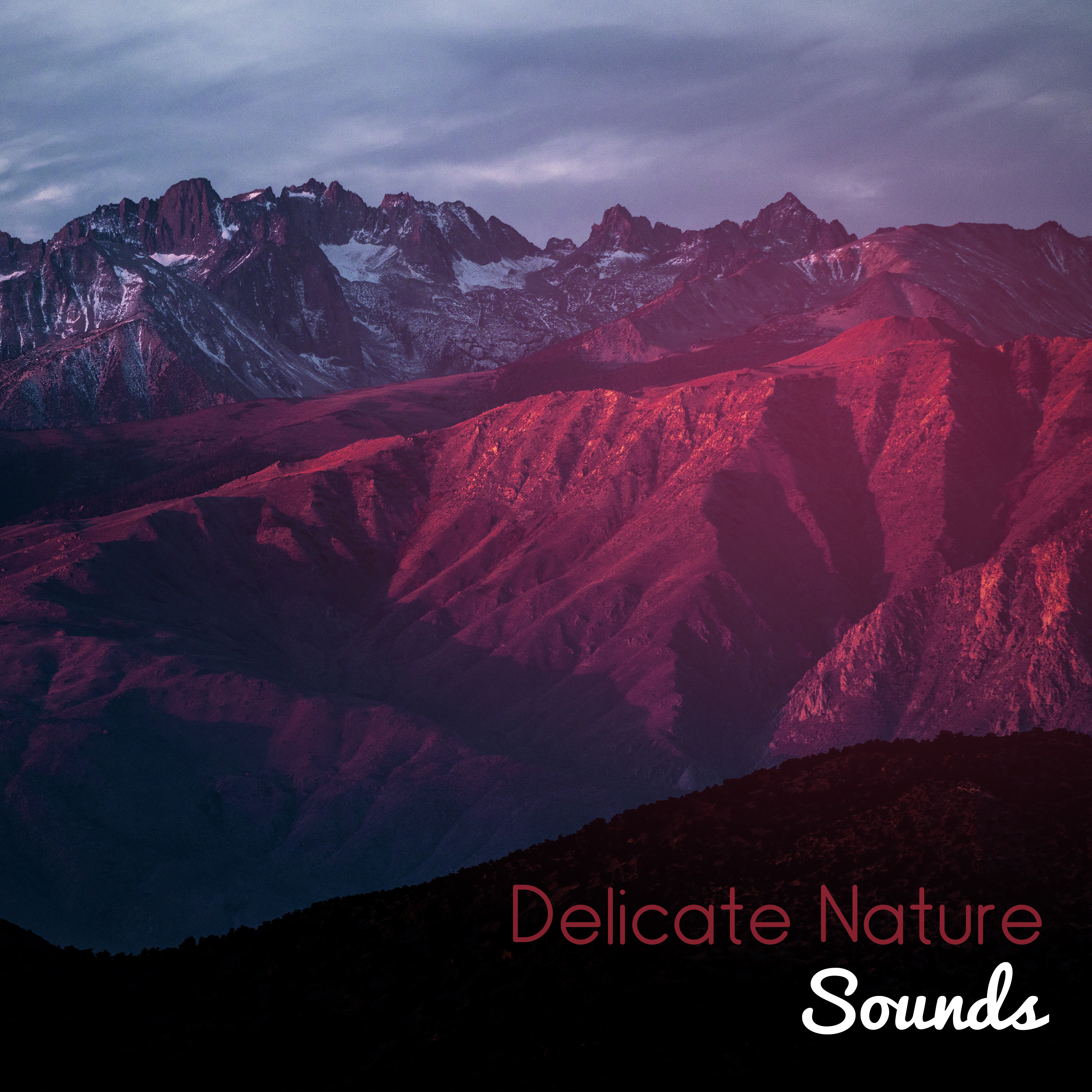 Delicate Nature Sounds
