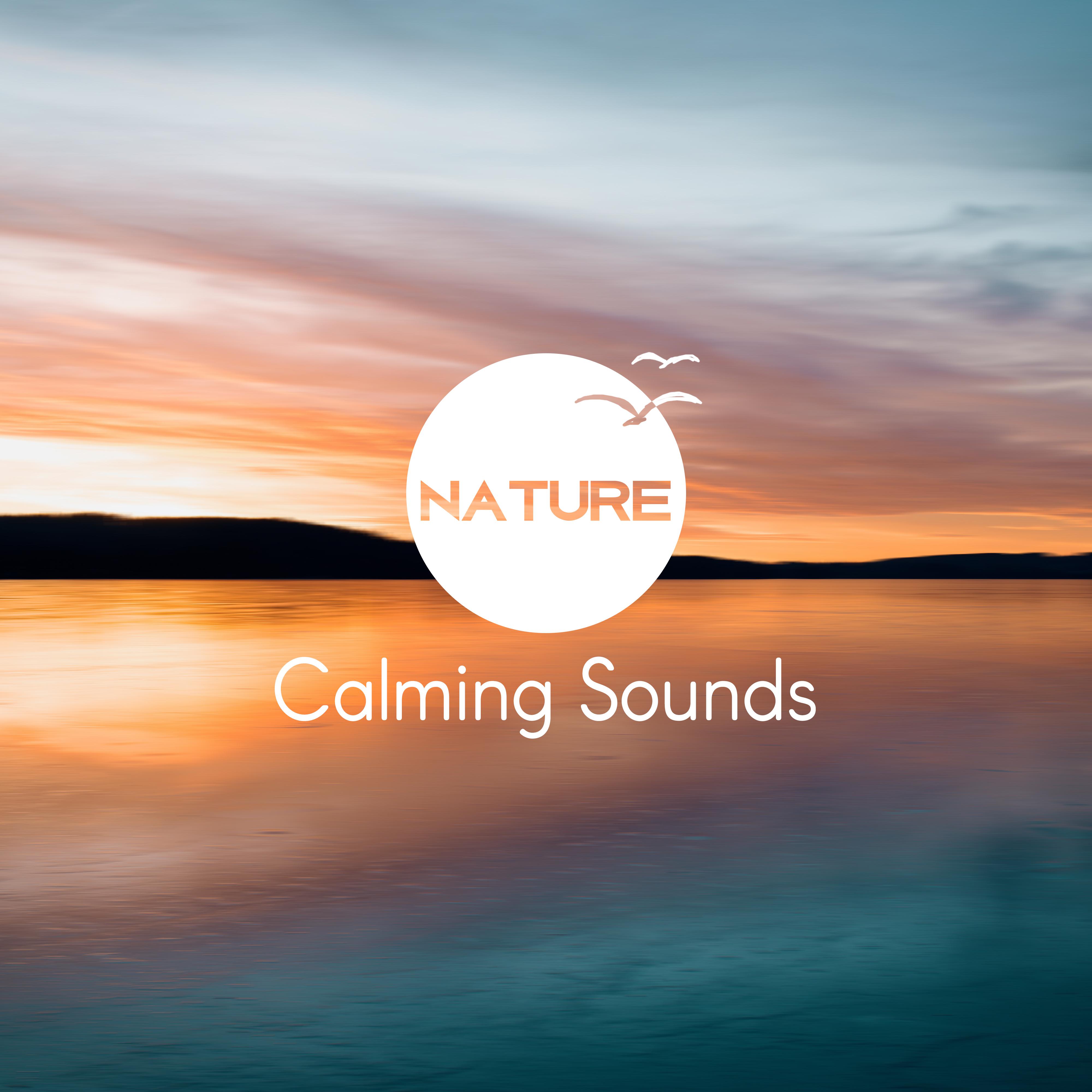 Nature Calming Sounds – Music to Relax, Sounds to Rest, New Age Calmness, Soft Ocean Waves