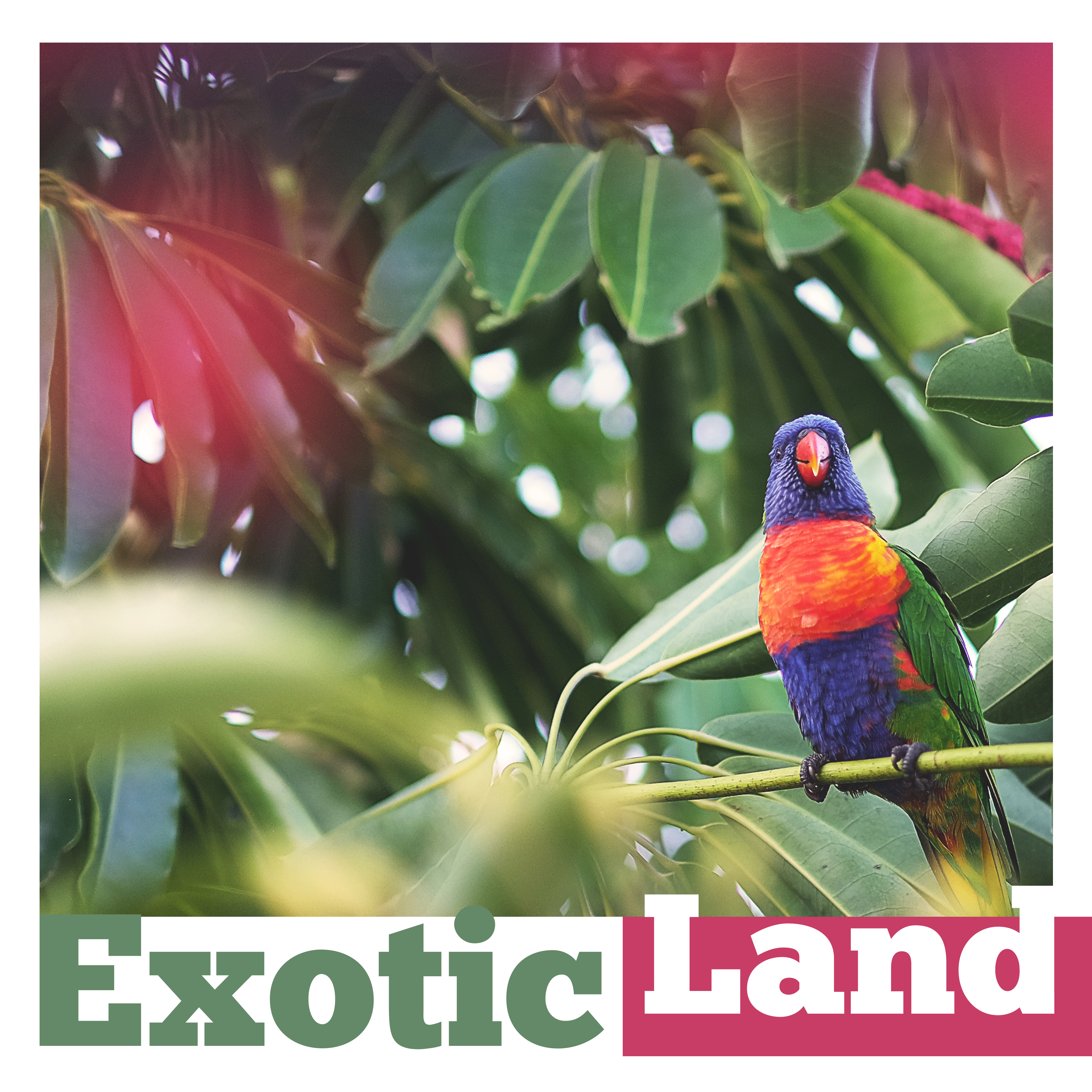 Exotic Land – Chillout Music, Holiday Time, Sea Sounds, Deep Relax, Beach Party, Crazy Fun
