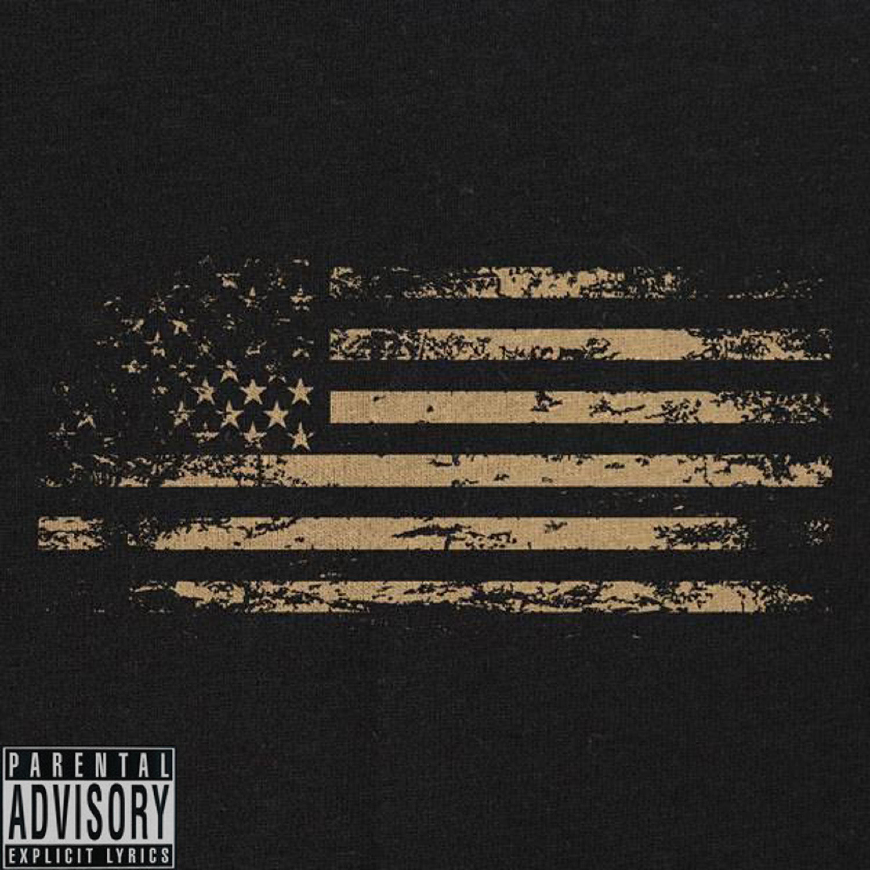 Amerikkka tha Beautiful