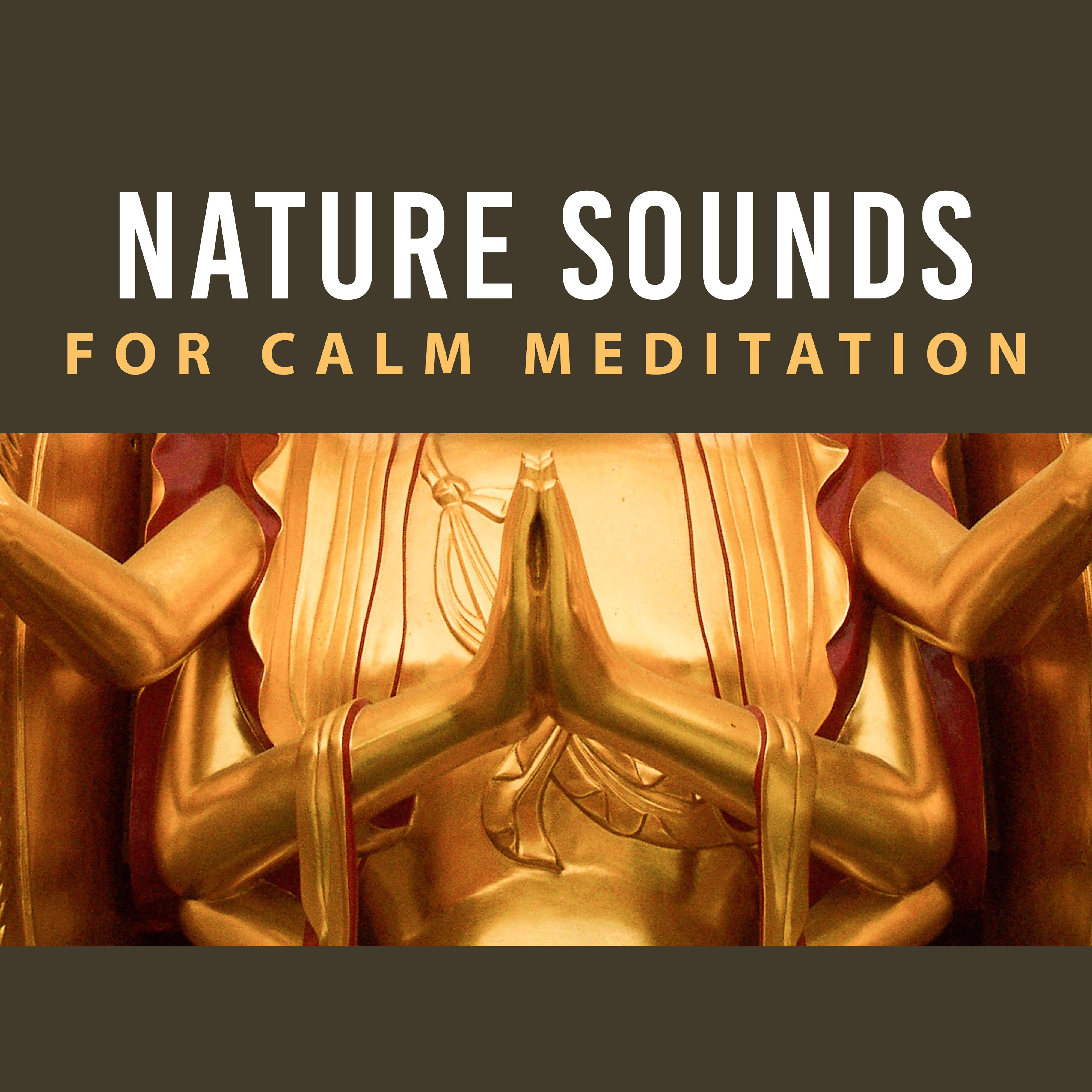 Nature Sounds for Calm Meditation – Relax with New Age, Soothing Sounds, Meditation & Relaxation, Soft Music