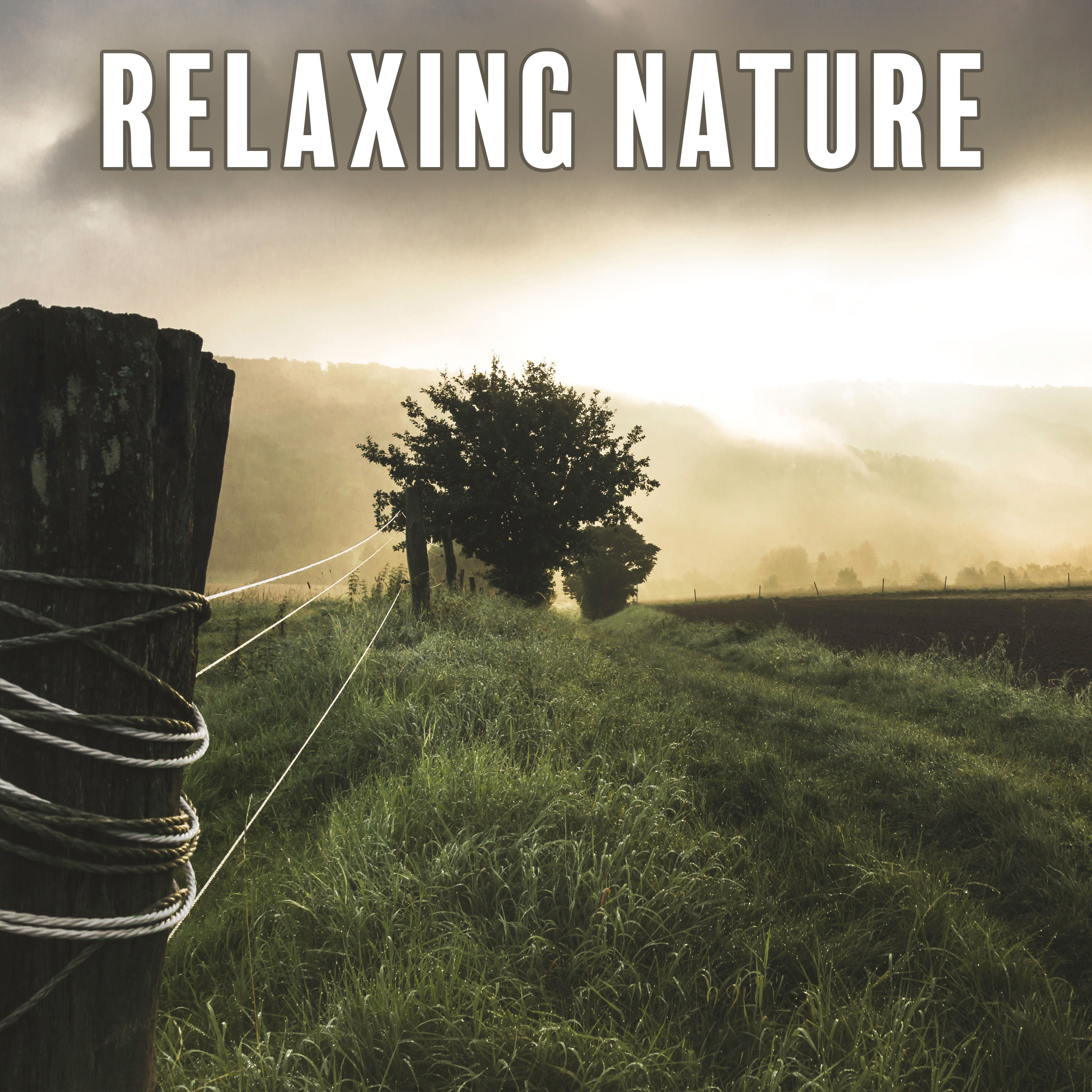 Relaxing Nature – Soft Music to Rest, Peaceful Mind, Soothing Guitar, Piano Music, Pure Relaxation, Relief, Calmness, Nature Sounds