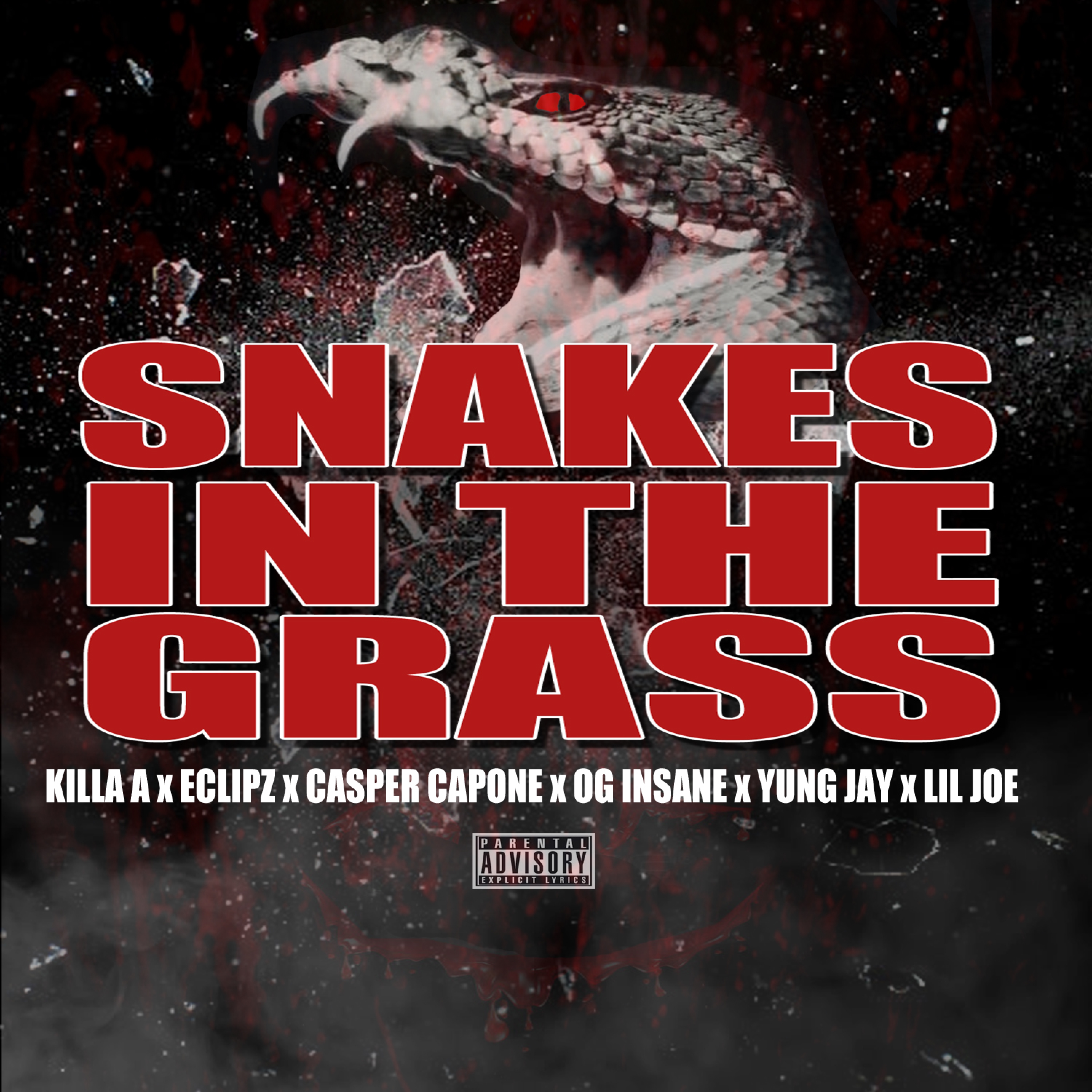 Snake in the Grass (feat. Eclipz, OG Insane, Lil Joe & Yung Jay)