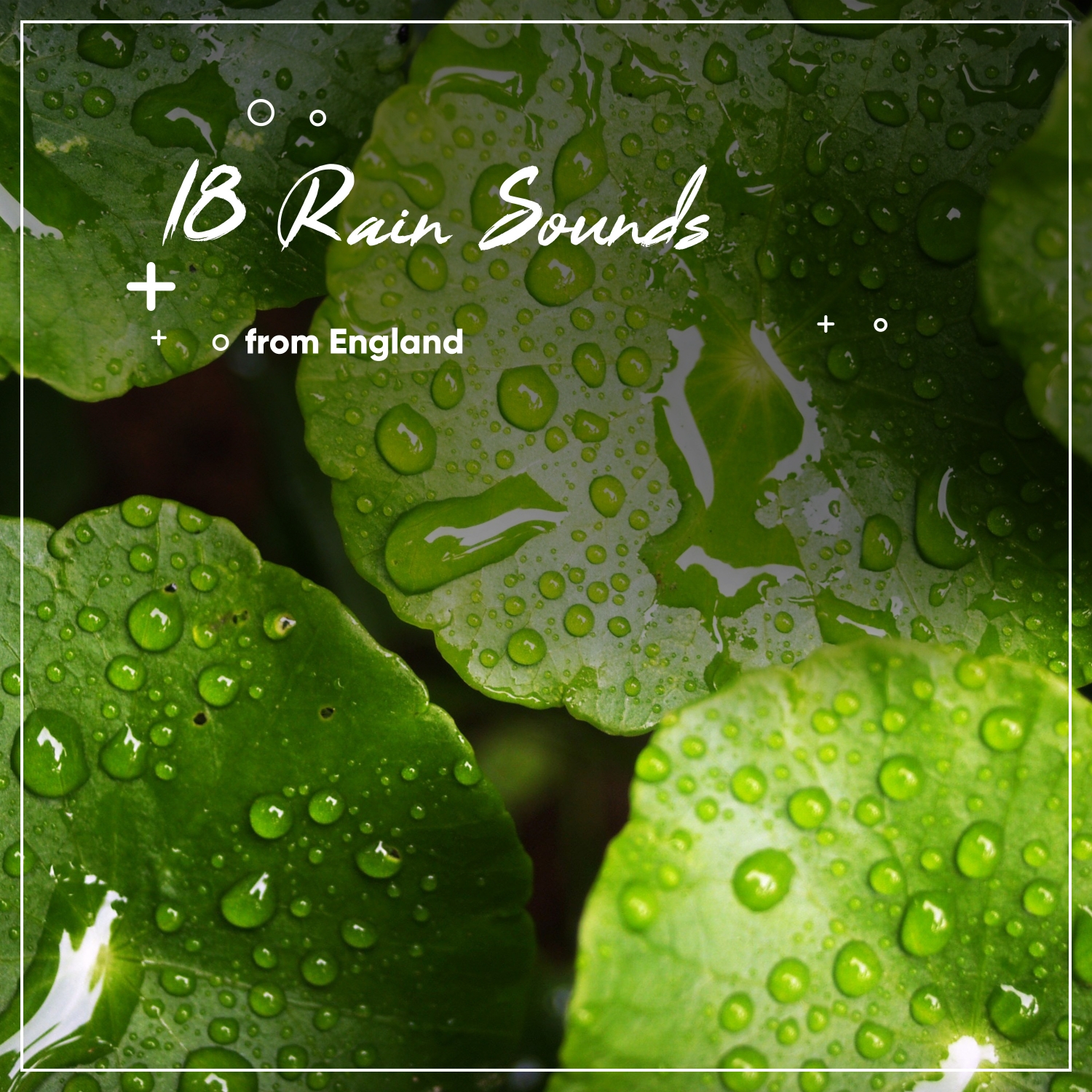 18 Real Rain Sounds from England, The Sound of the Countryside for Relaxing and Sleeping
