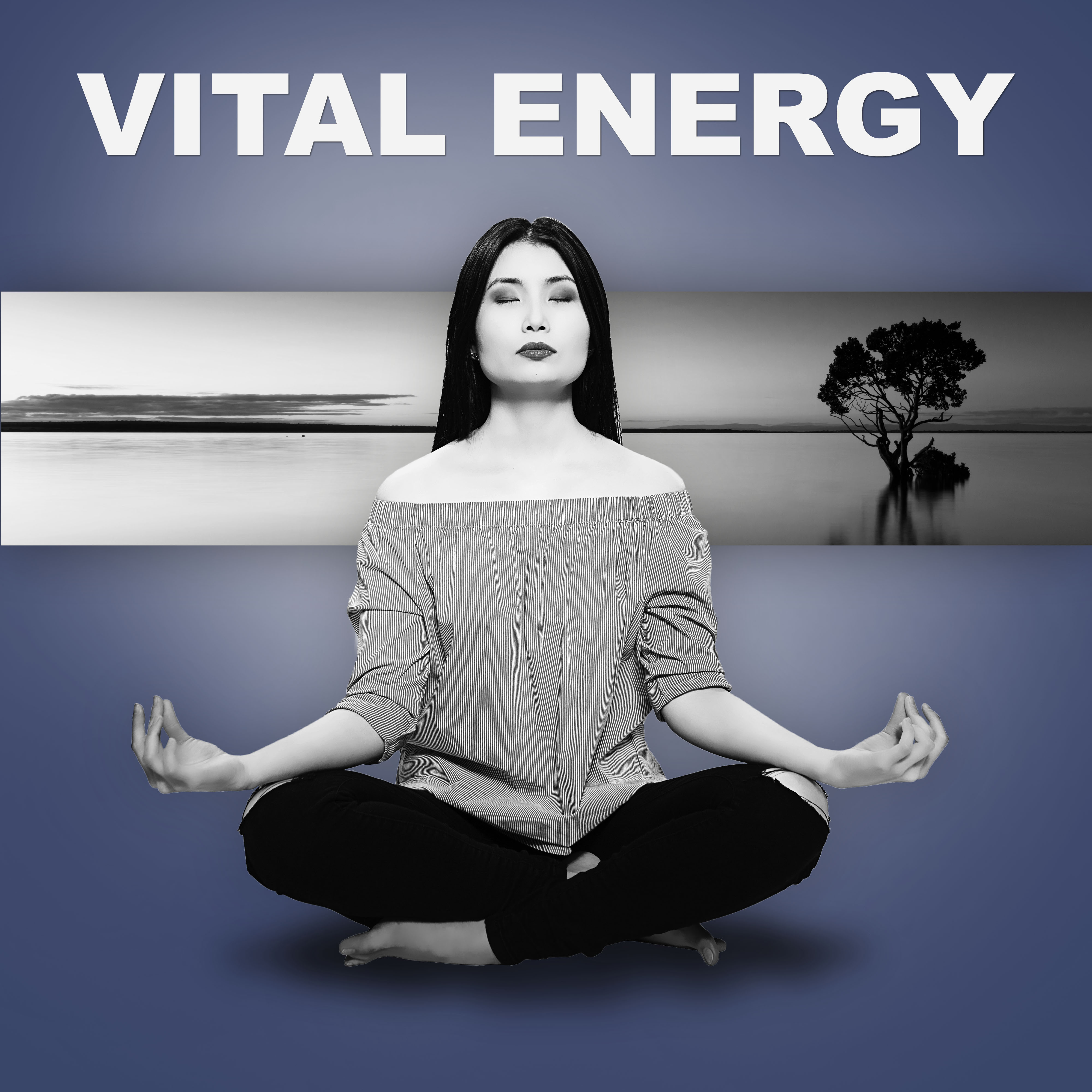 Vital Energy – Healing Meditation, Deep Relaxation Nature Sounds, Ocean Waves, Zen, Awareness, Inner Balance