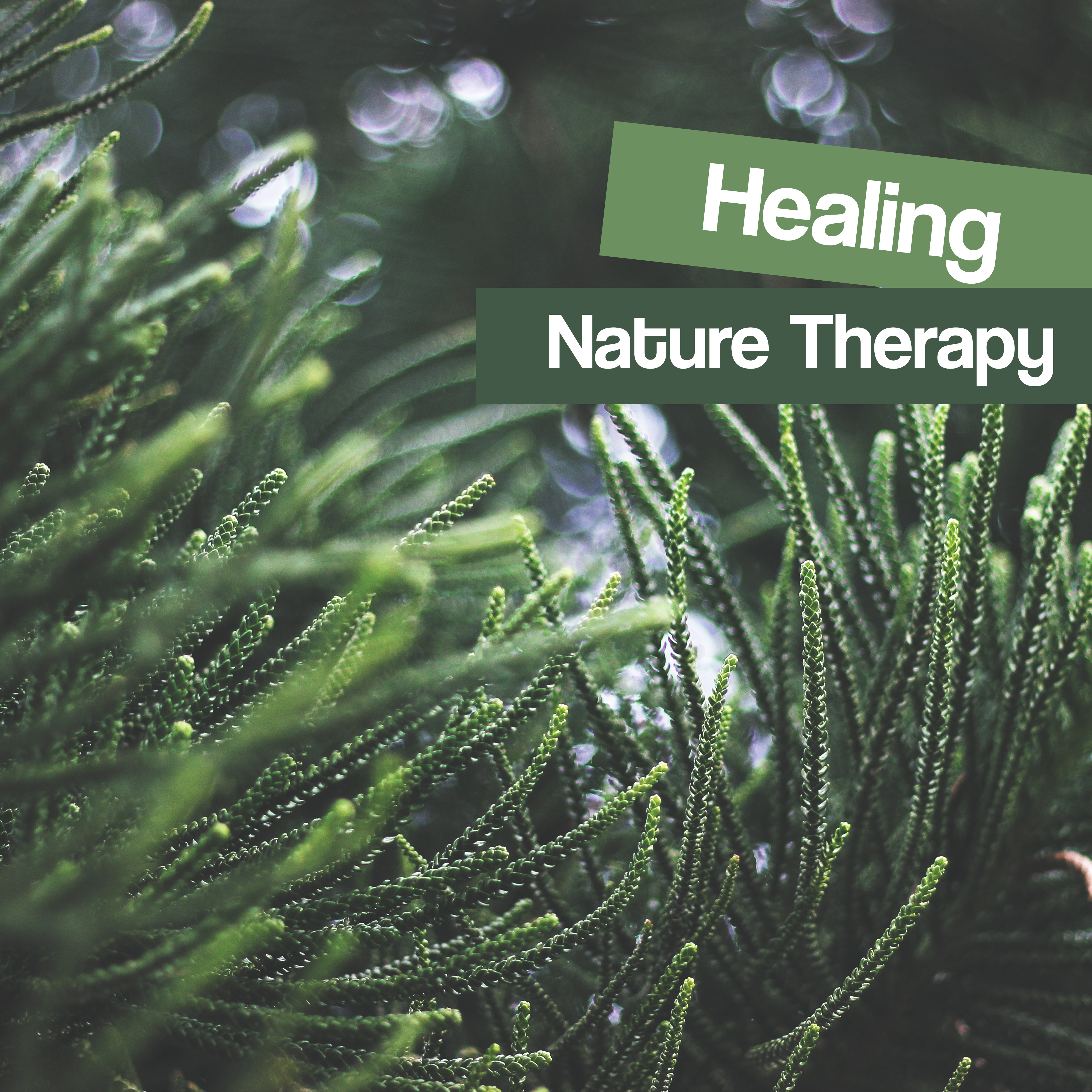 Healing Nature Therapy – Soothing Waves of Calmness, Stress Relief, New Age Music, Inner Silence