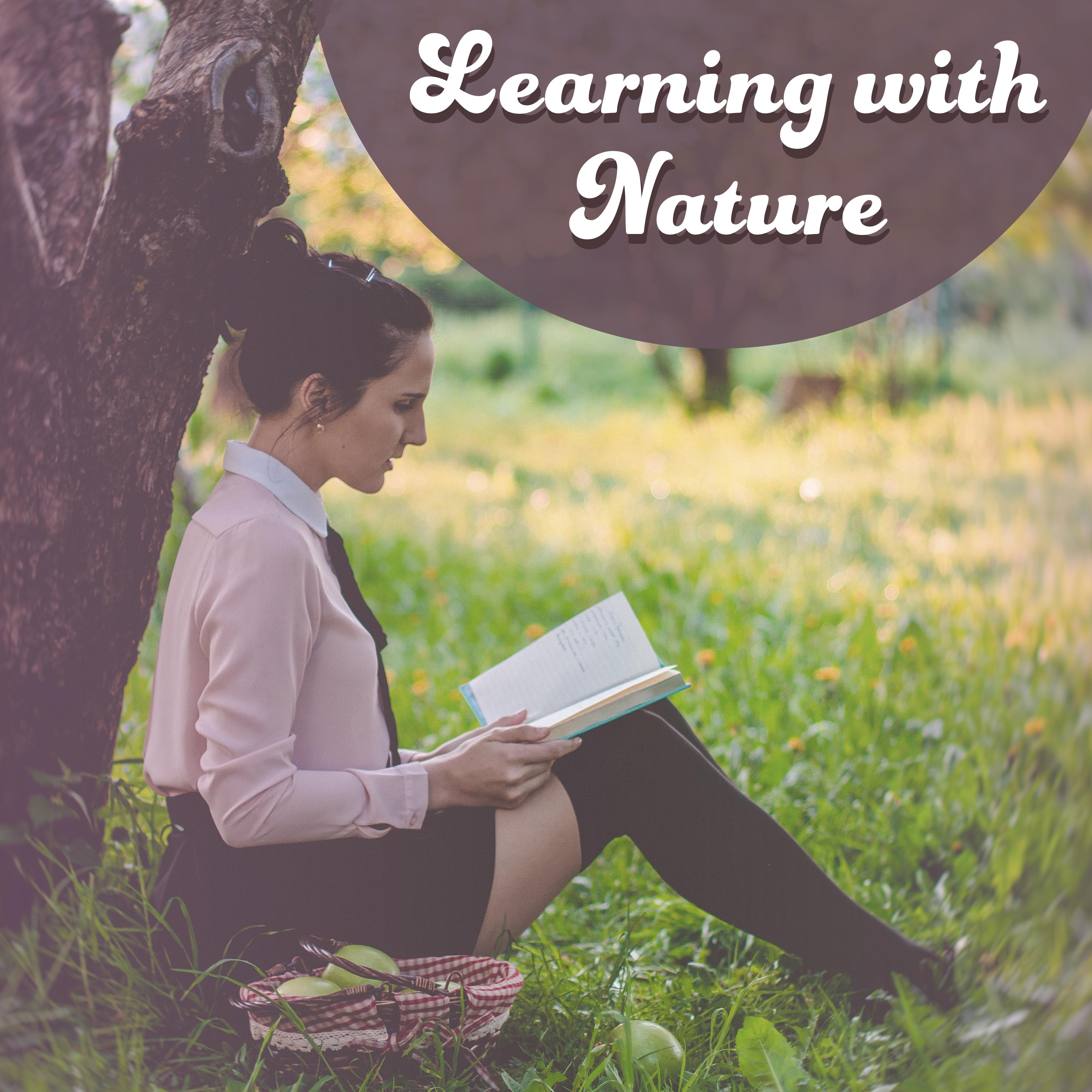 Learning with Nature – New Age Music for Study, Better Concentration, Stress Free, Focus, Good Memory