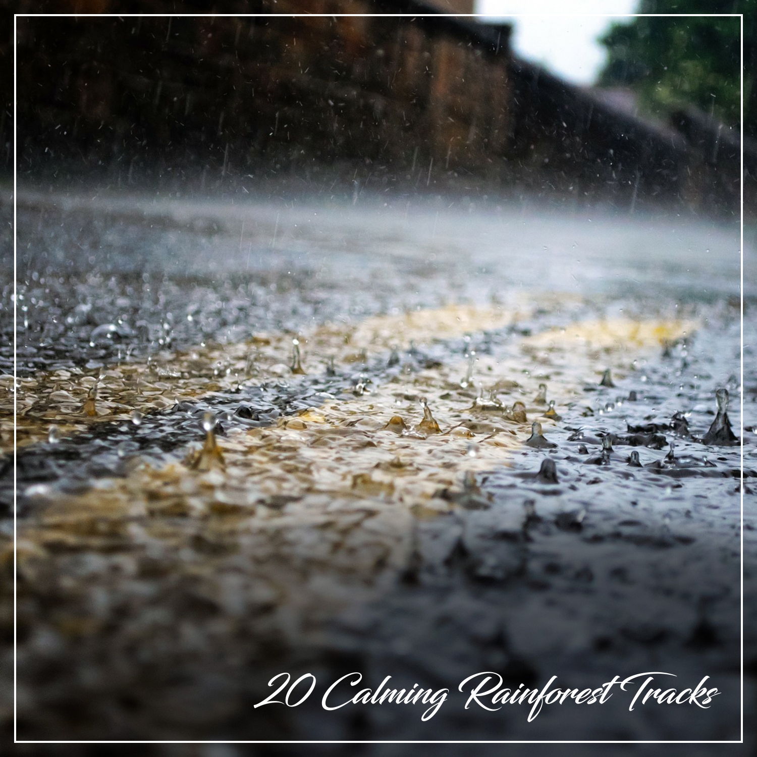 20 Calming Rainforest Tracks: Morning Rainfall