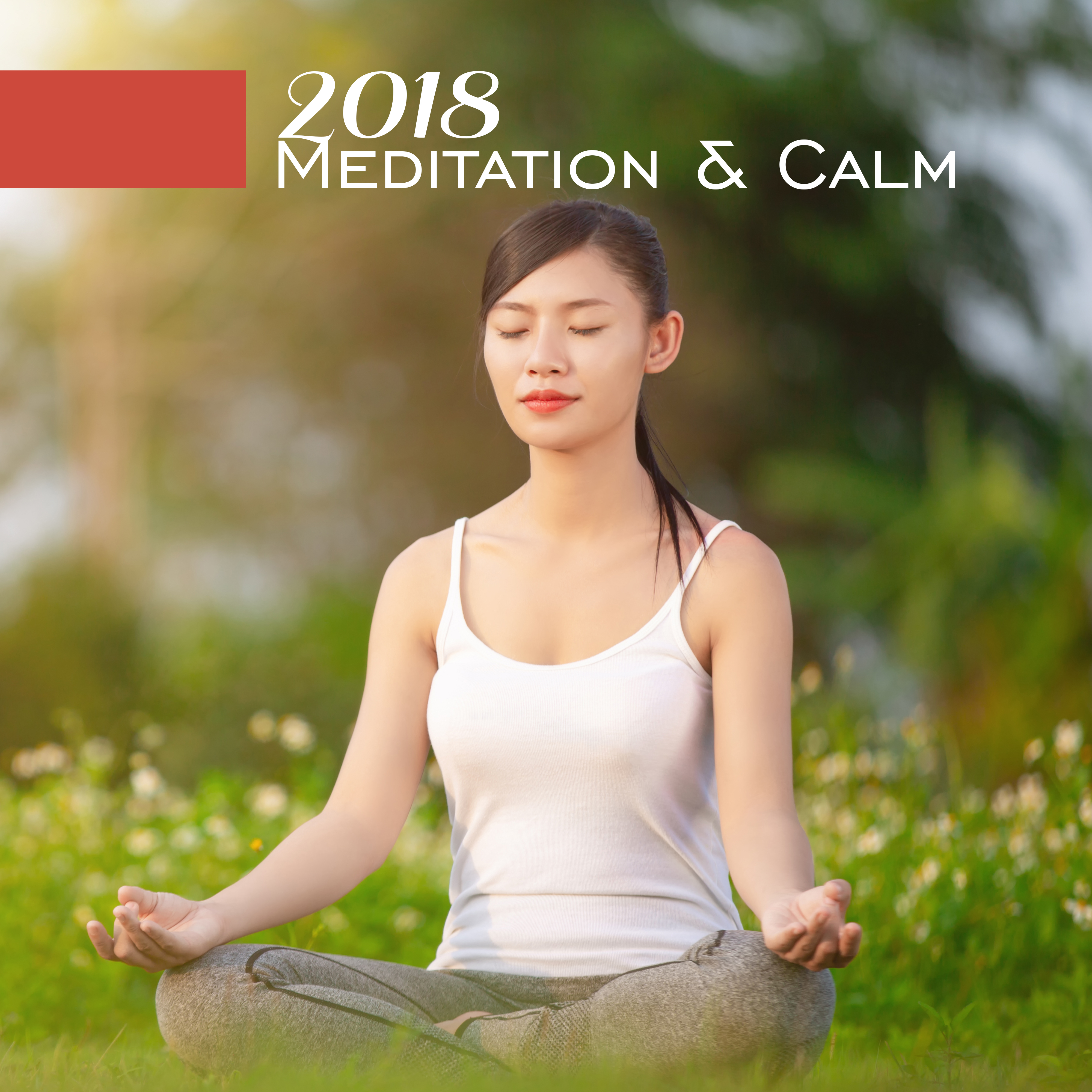 2018 Meditation & Calm