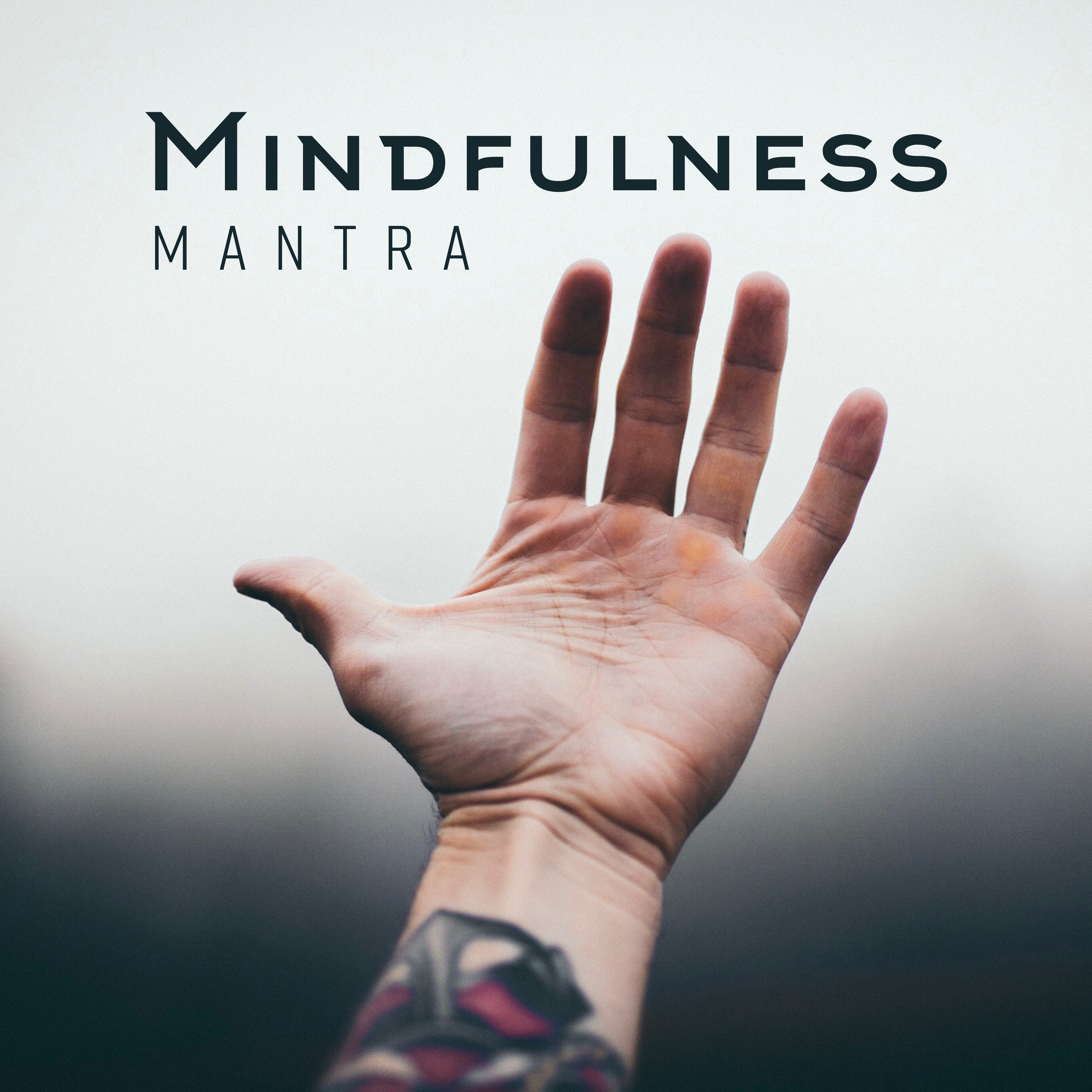 Mindfulness Mantra