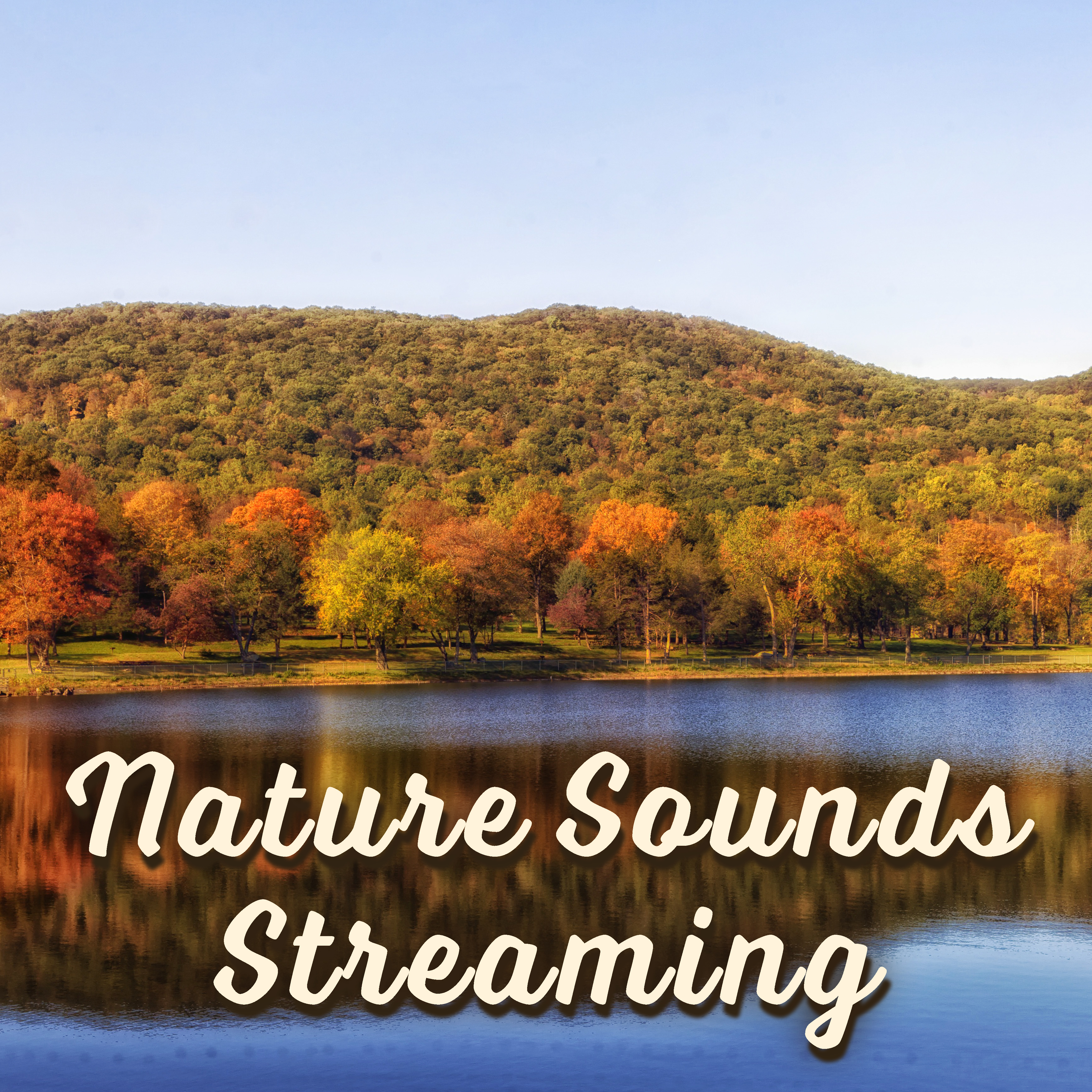 Nature Sounds Streaming – The Best of Relaxing Music, Fresh New Age 2017, Relief Stress, Music Therapy