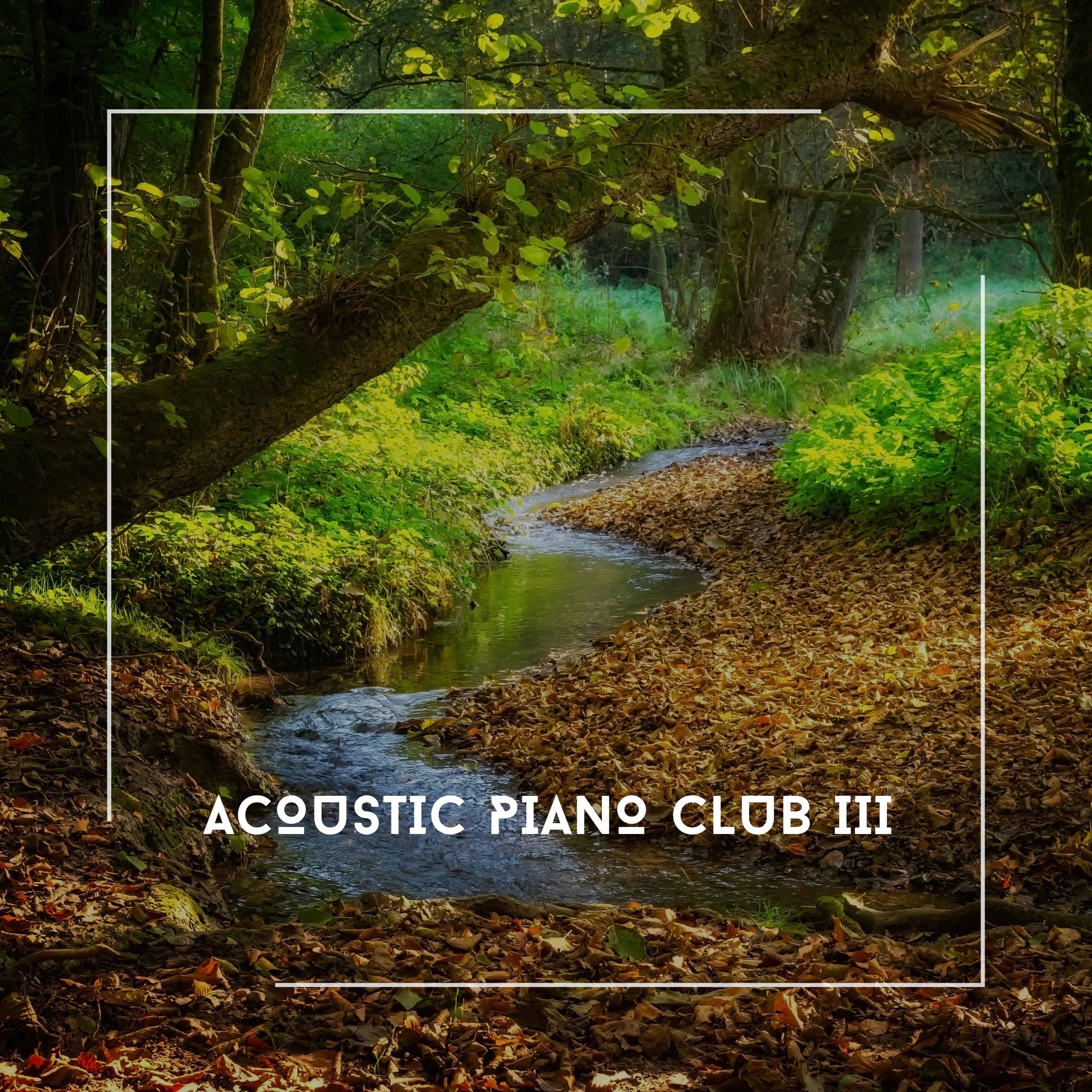 Acoustic Piano Club III