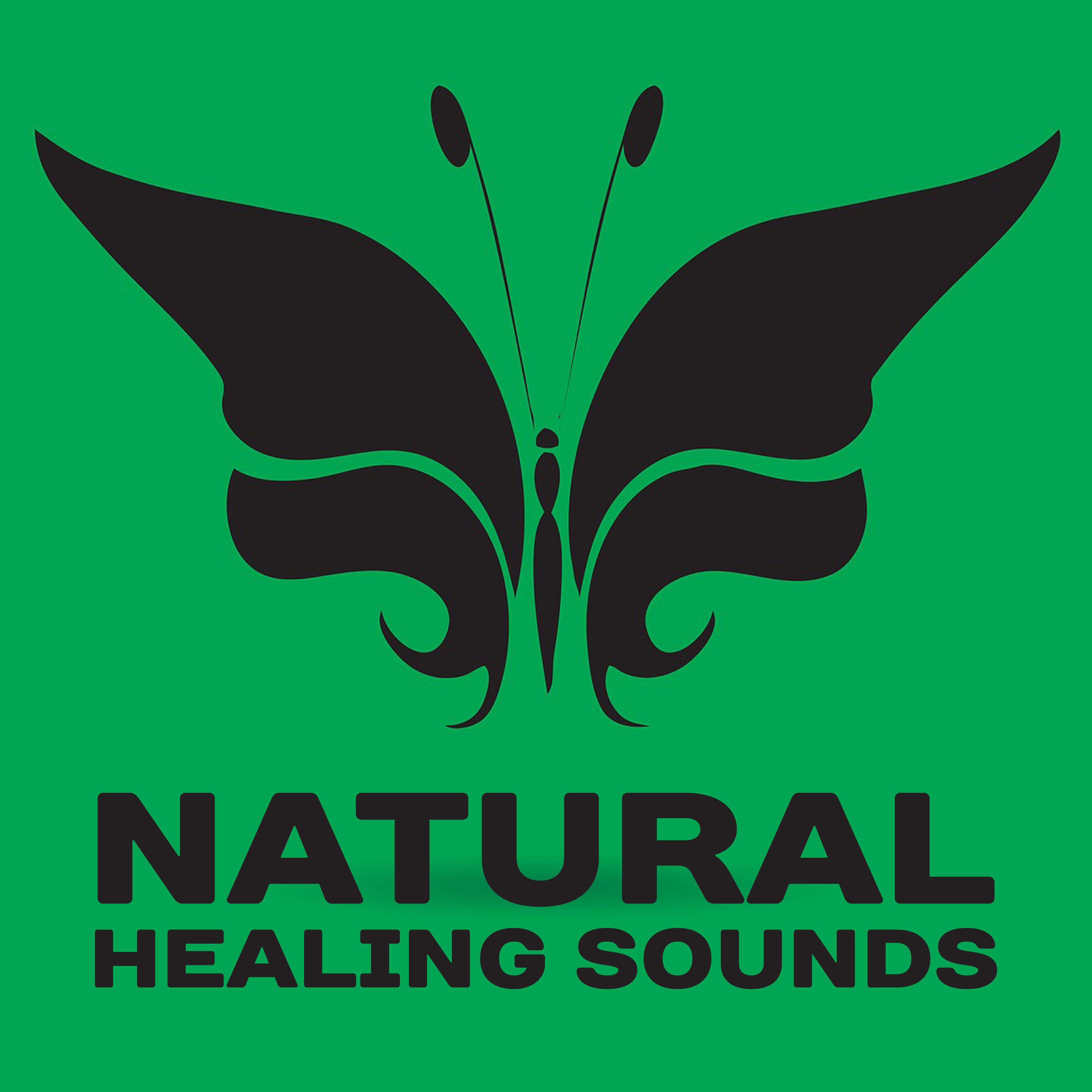 Natural Healing Sounds – Nature Sounds to Calm Down, Peaceful Music, Waves of Calmness
