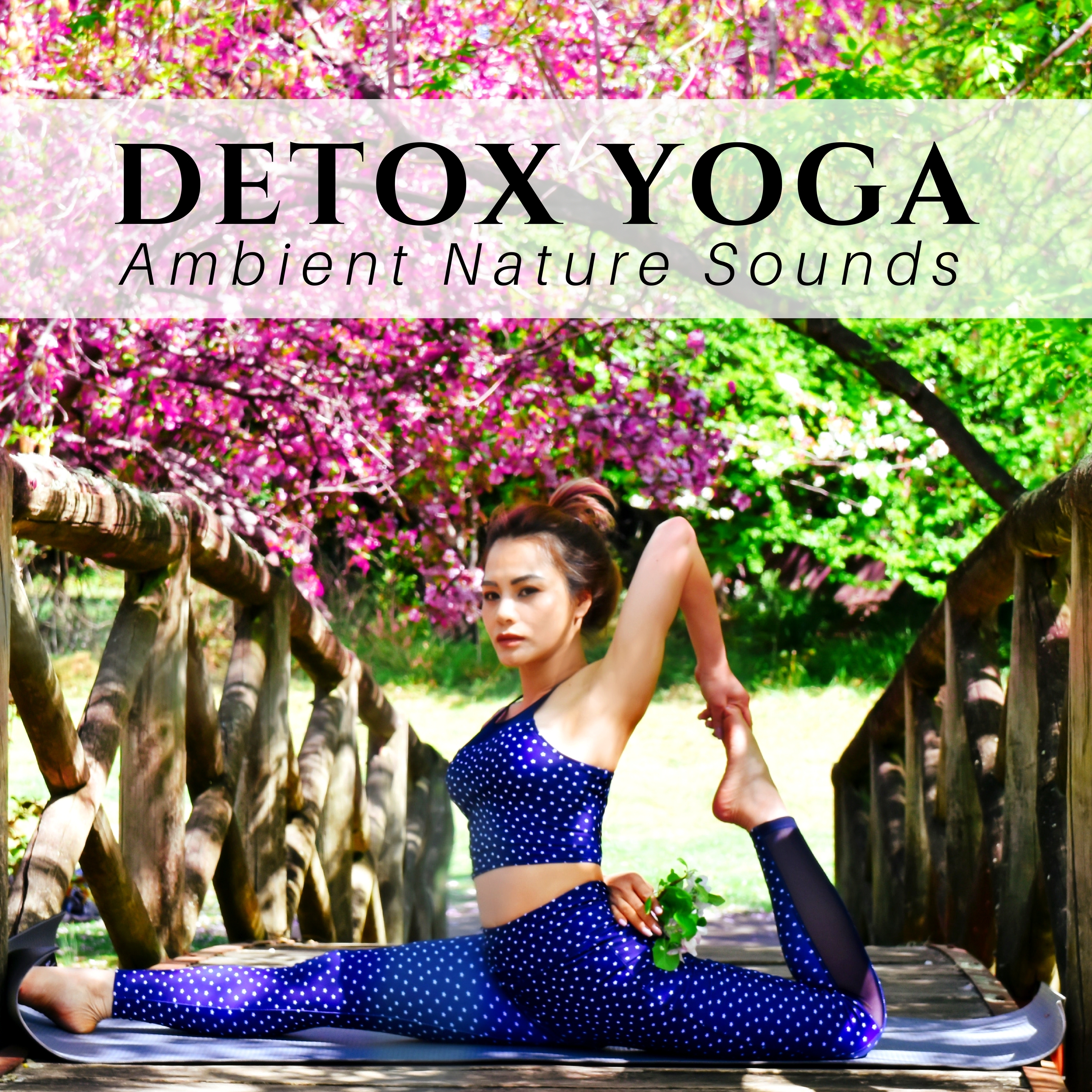 Detox Yoga: Ambient Nature Sounds, New Age Spirituality Music, Meditation Practice