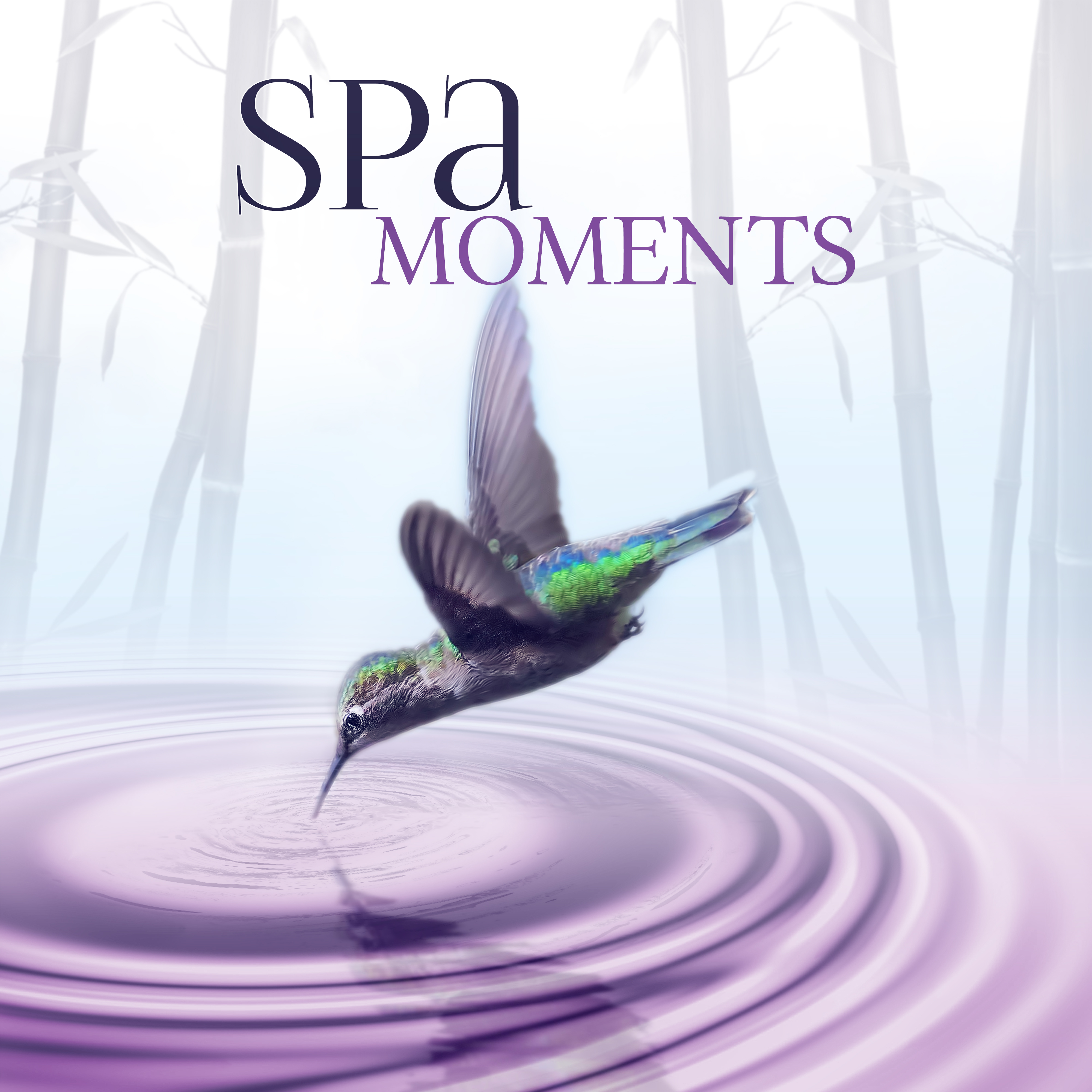 Spa Moments – Wellness Music Spa, Pure Mind and Body with Healing Massage Music, Harmony of Senses, Therapy Music for Relax, Inner Peace