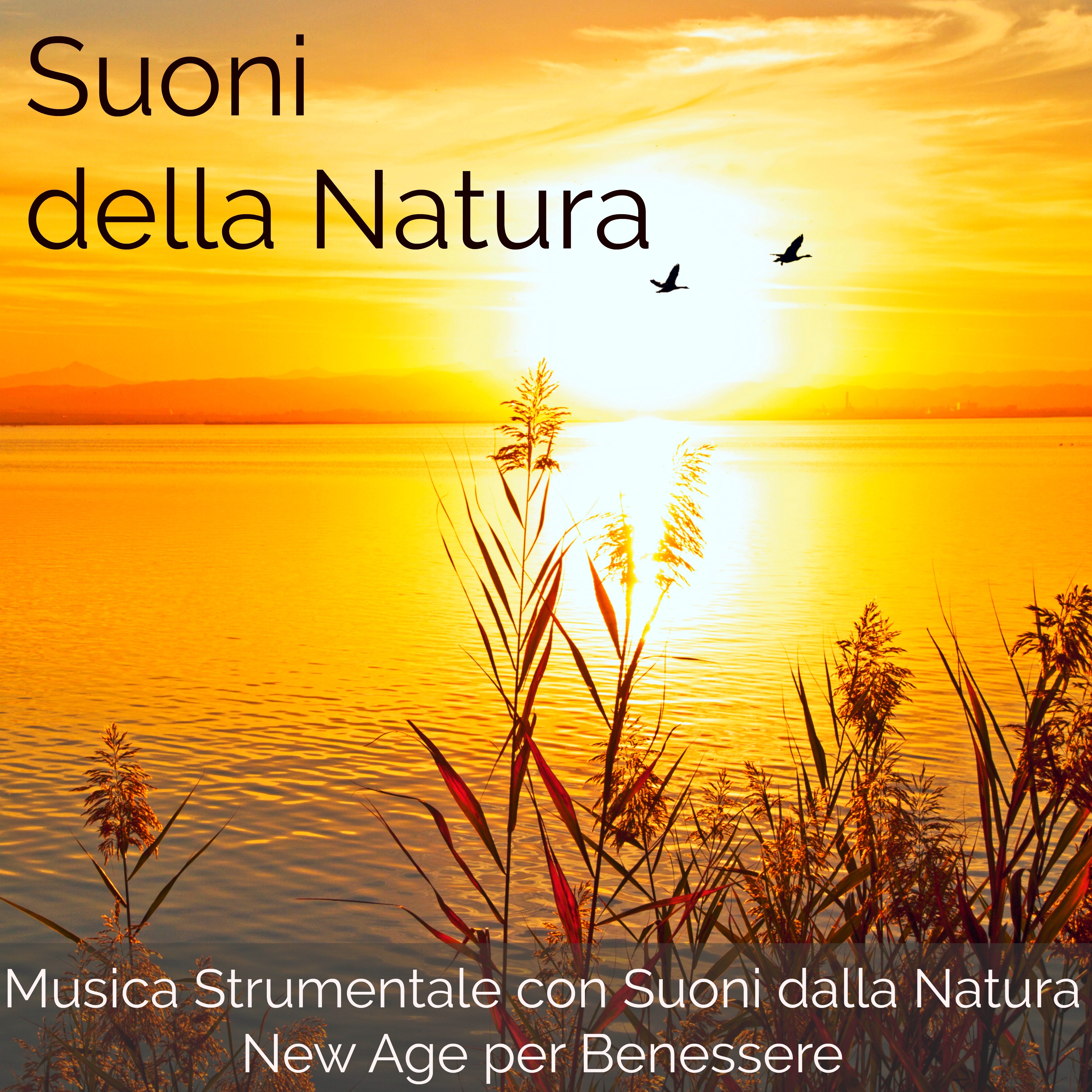 Suoni della Natura - Musica Strumentale con Suoni dalla Natura New Age per Benessere