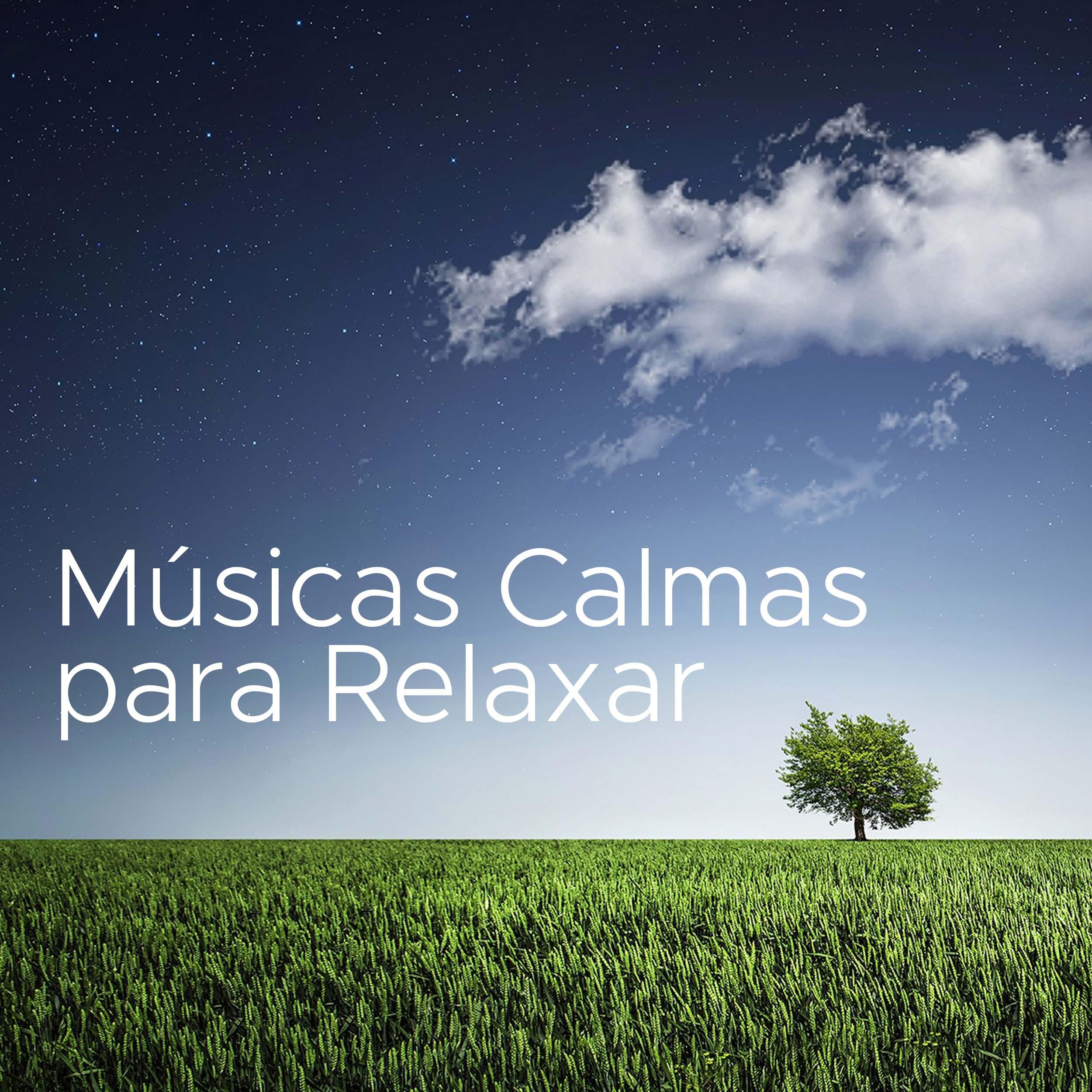 Musicas Calmas para Relaxar - Formas de Relaxar a Mente