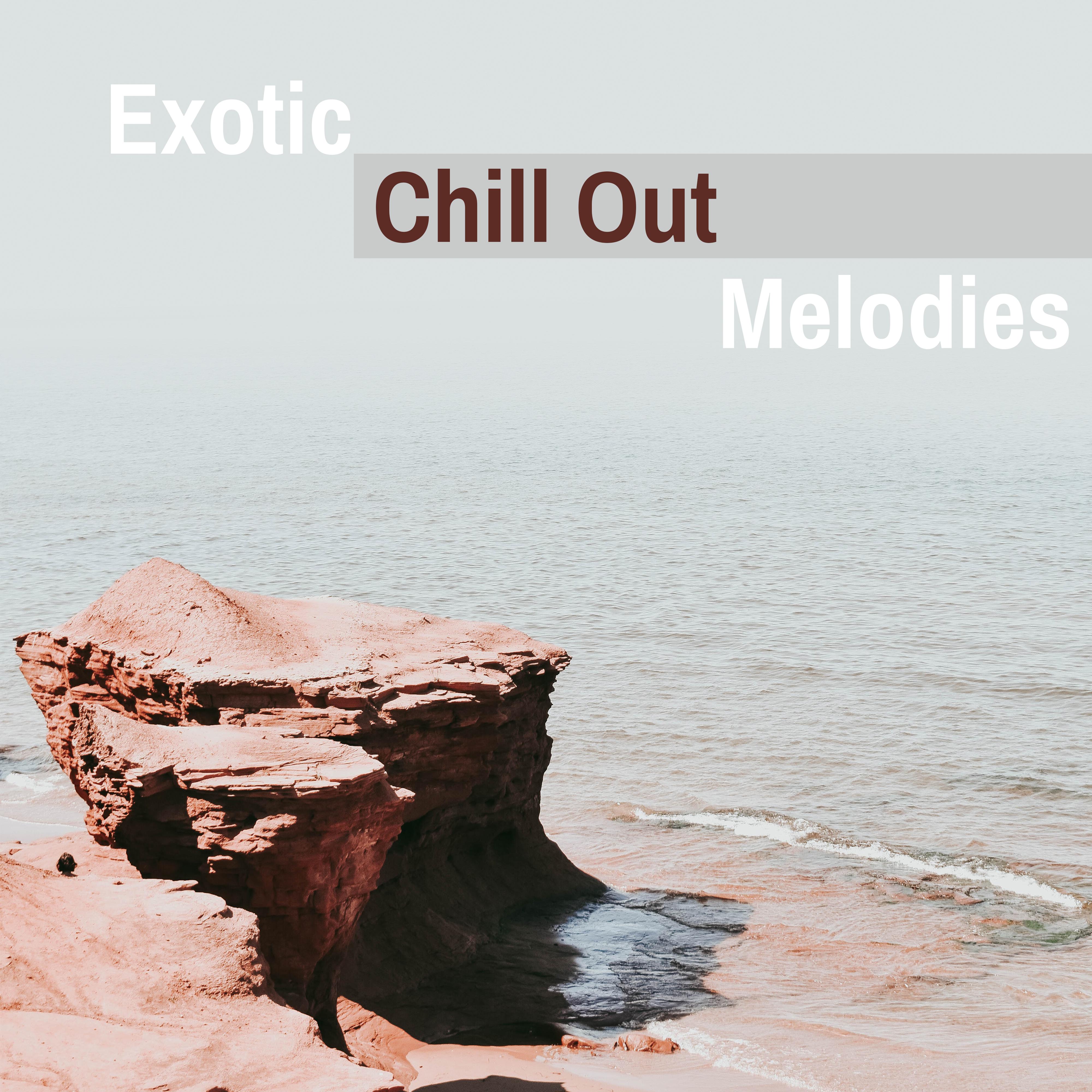 Exotic Chill Out Melodies – Tropical Chill Out Beats, Summer Vibes, Relaxing Melodies, Beach Lounge
