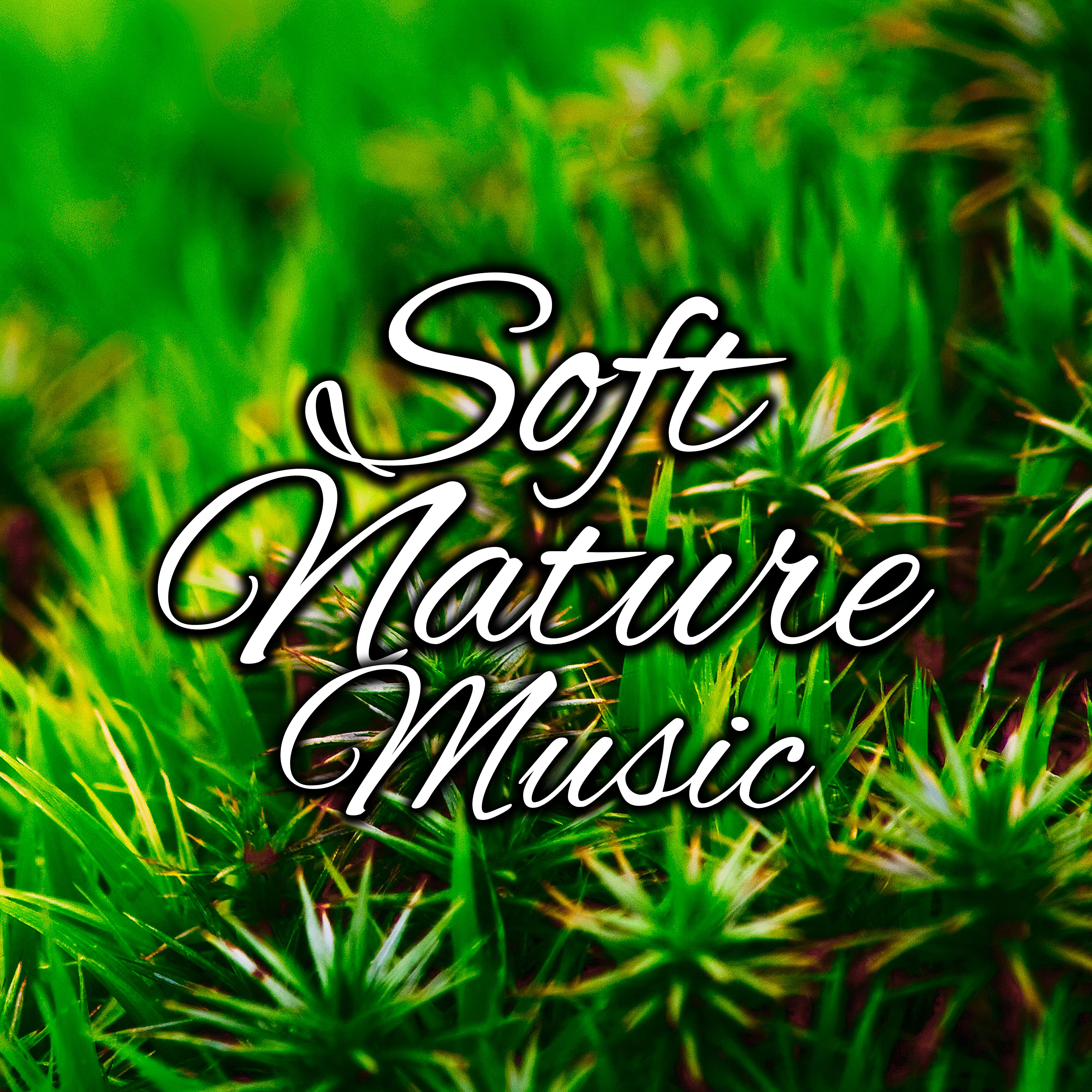 Soft Nature Music – Easy Listening, New Age Nature Melodies, Music to Calm Down, Sounds to Relax, Chilled Note