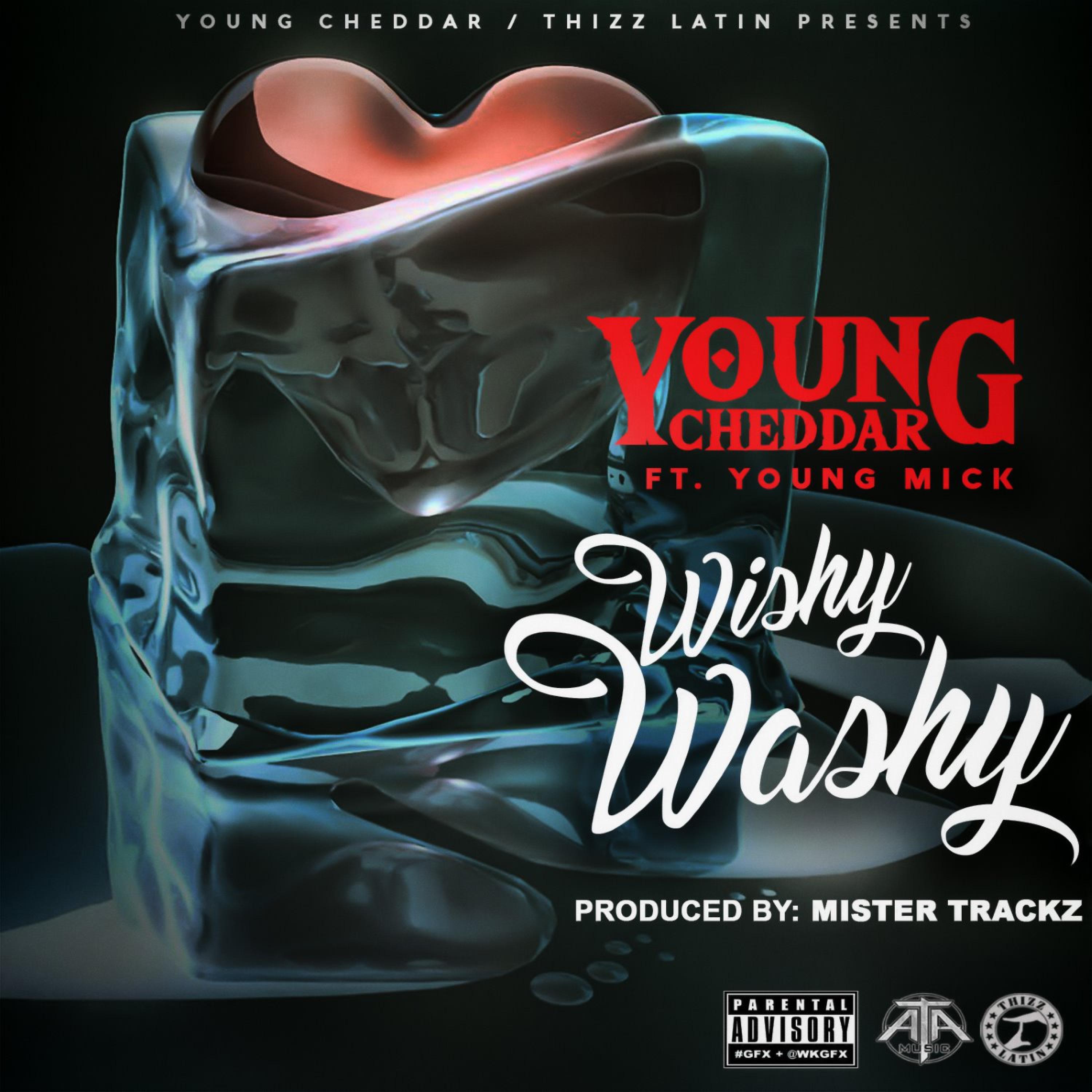 Wishy Washy (feat. Young Mick)