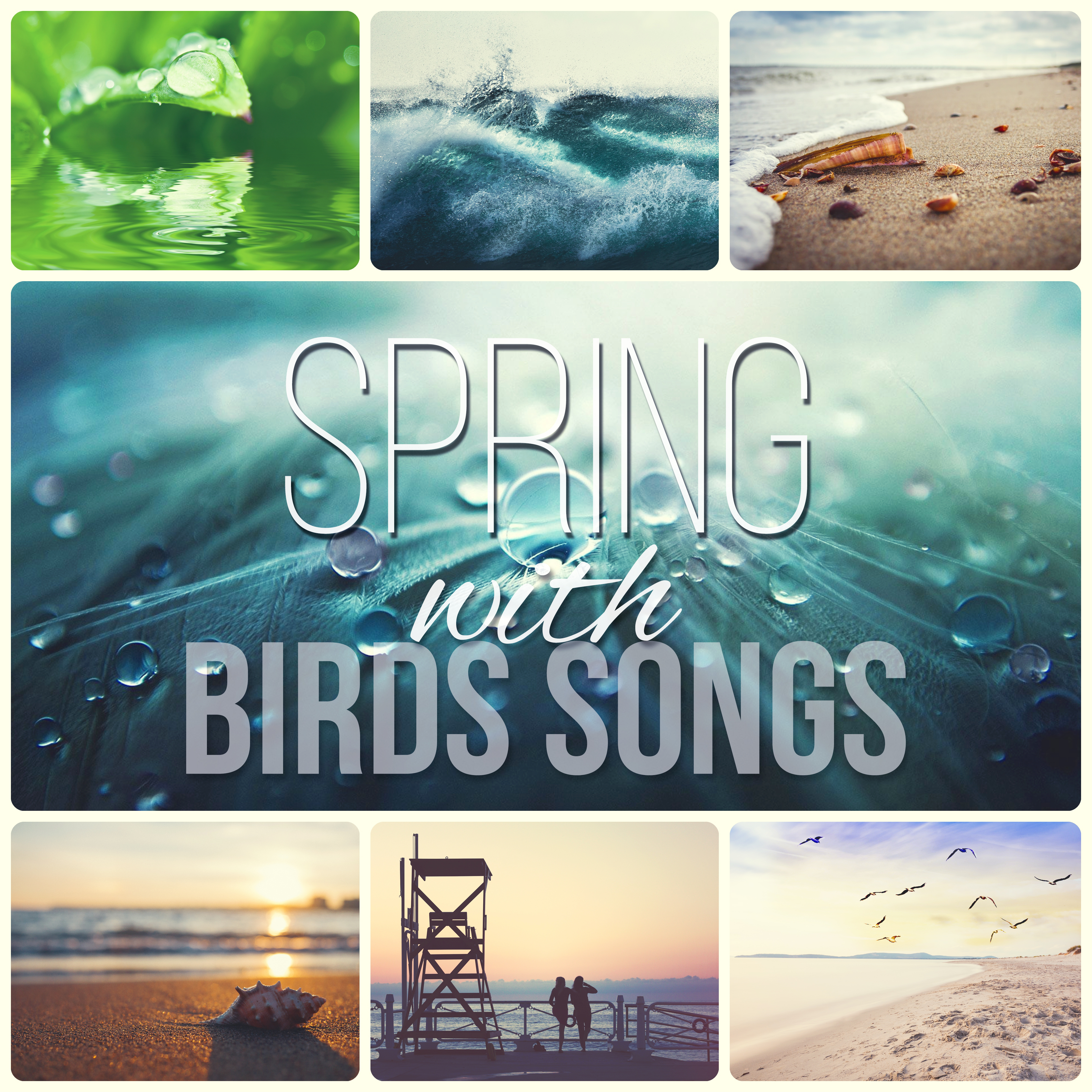 Spring with Birds Songs – Amazing Sound Effects of Birds, Forest Ambience, Morning Bird Calls for Relaxation