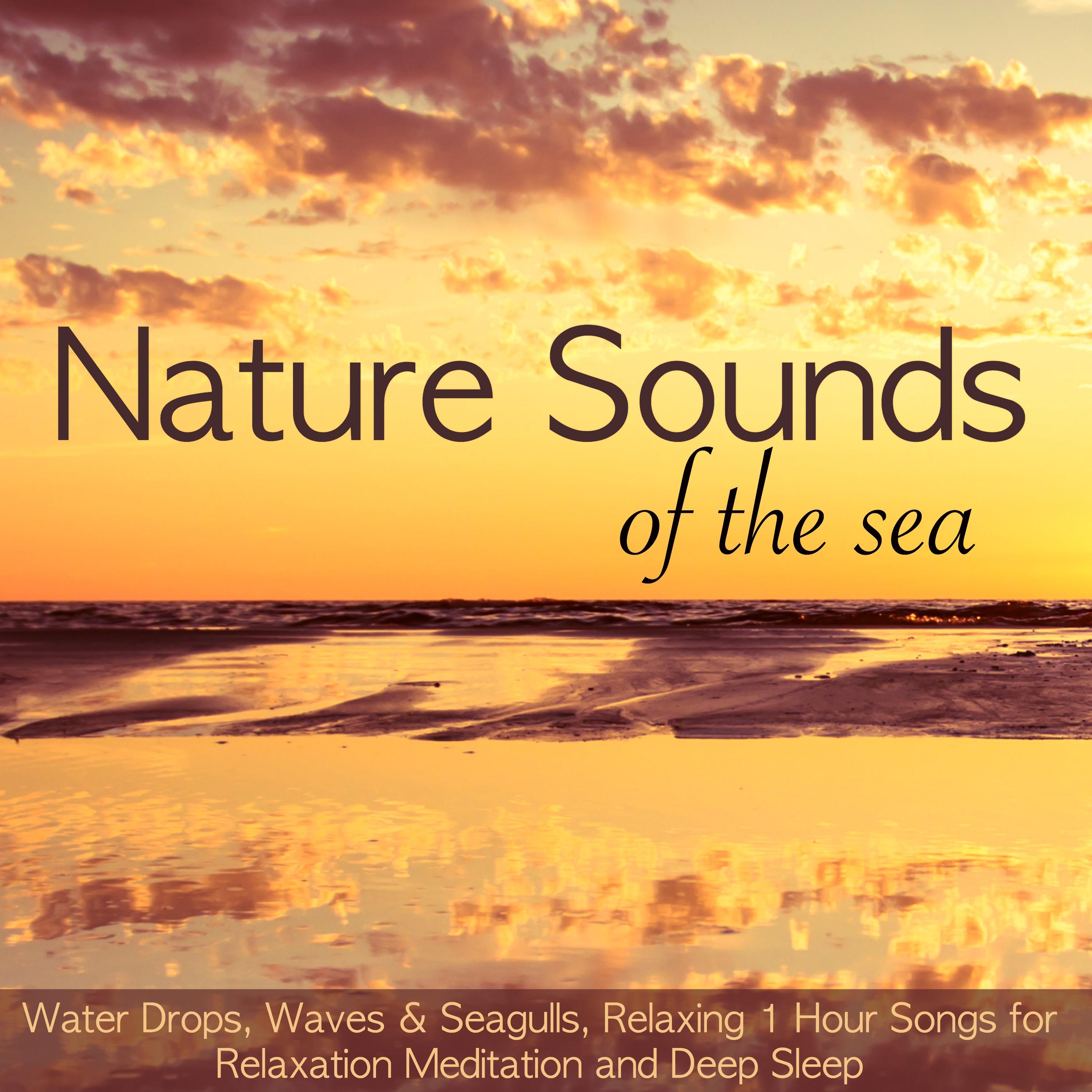 Nature Sounds of the Sea –  Water Drops, Waves & Seagulls, Relaxing 1 Hour Songs for Relaxation Meditation and Deep Sleep