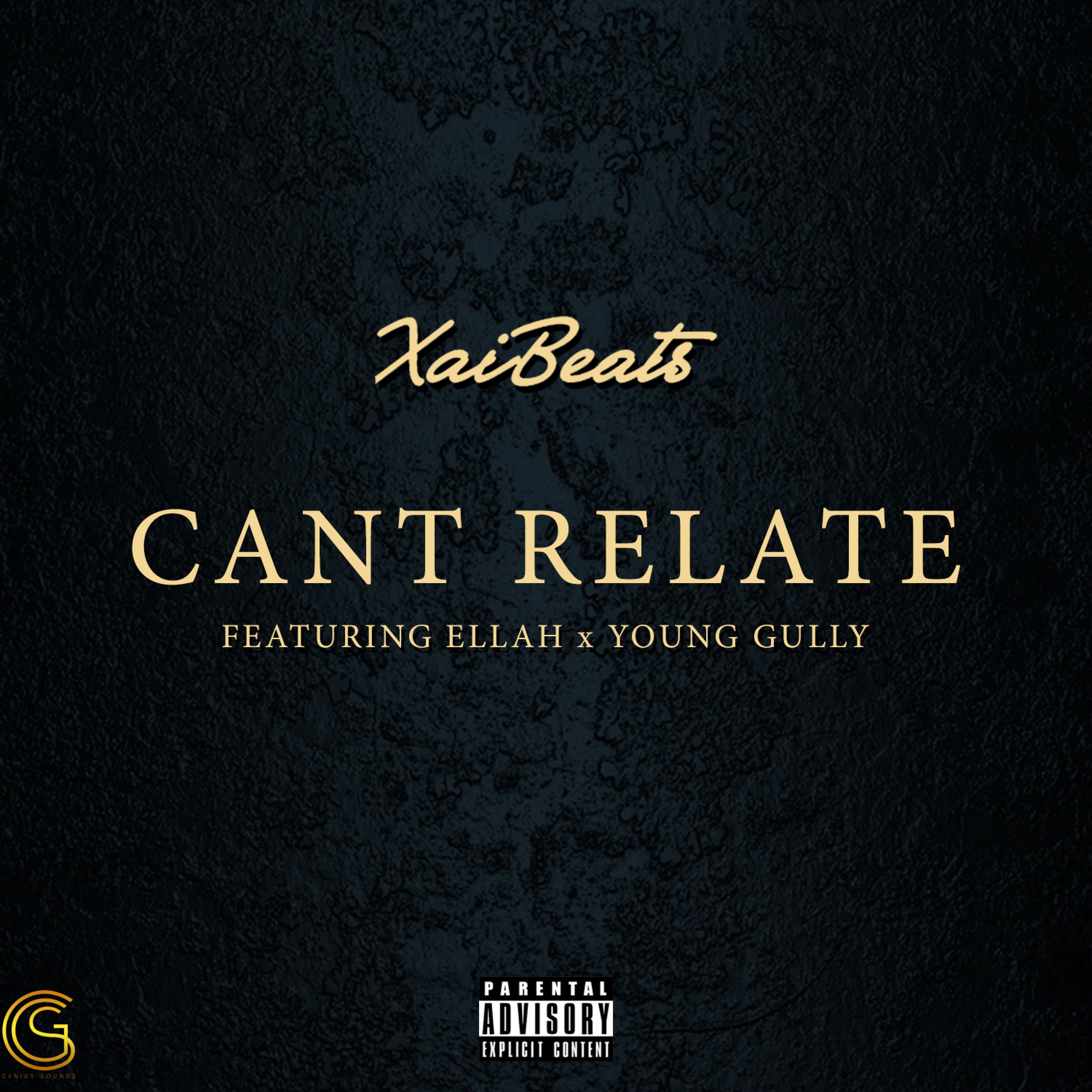 Can't Relate (feat. Ellah & Young Gully)