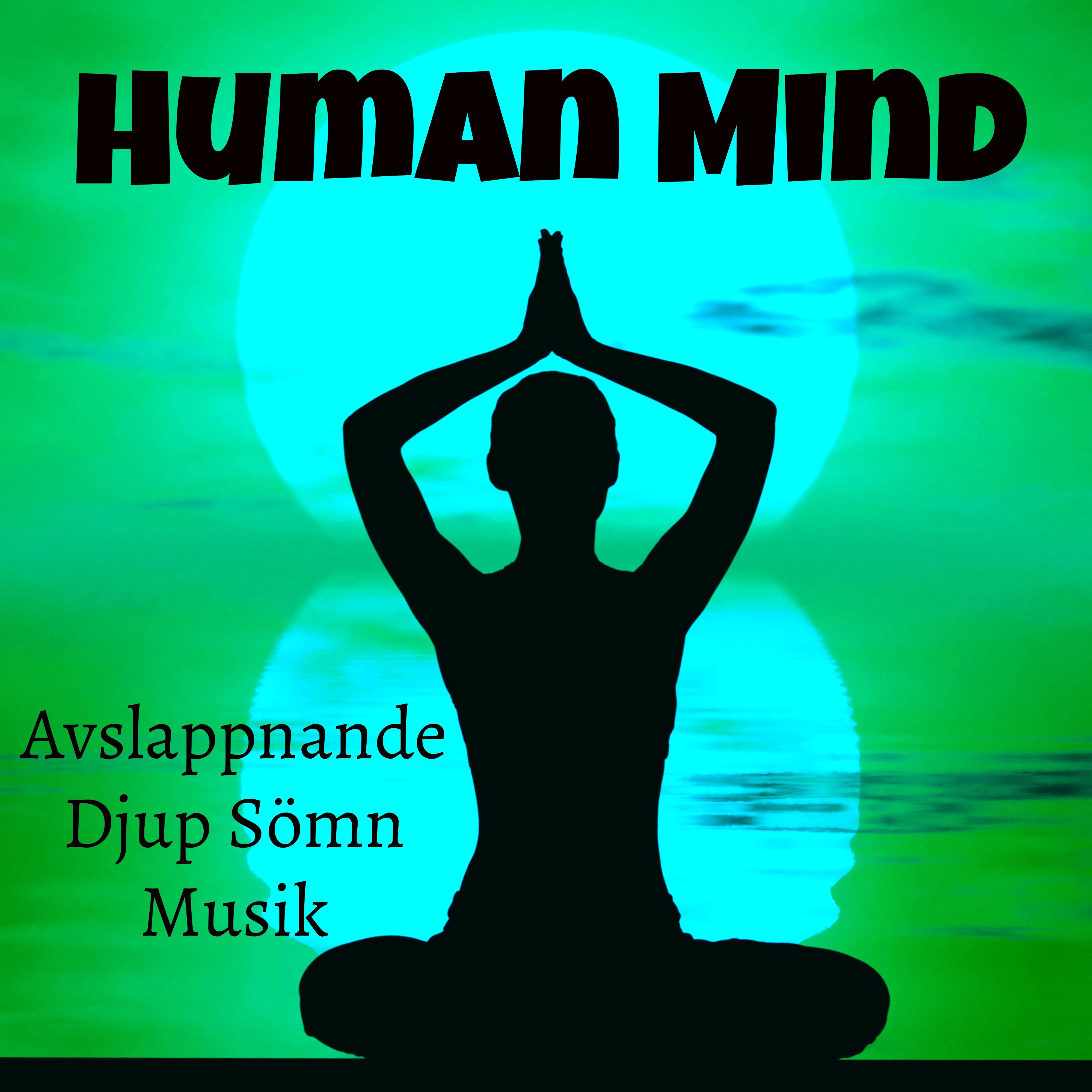 Human Mind - Avslappnande Djup Sömn Musik för Andlig Healing Yogateknik med Instrumental Lugn Ljud