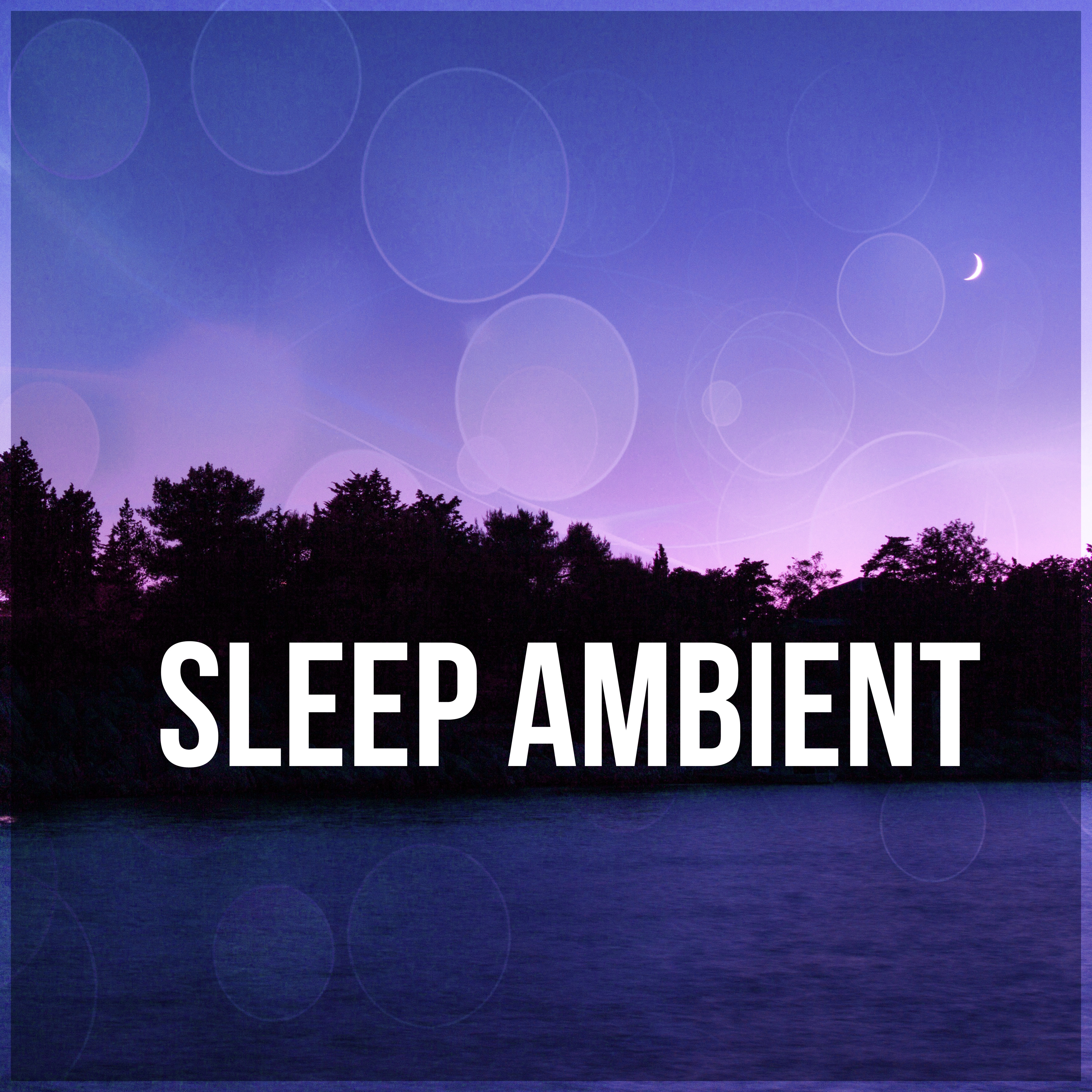 Sleep Ambient - Background Music, Natural Sleep, Sounds of Nature, Inner Silence, Anti Stress Msuic