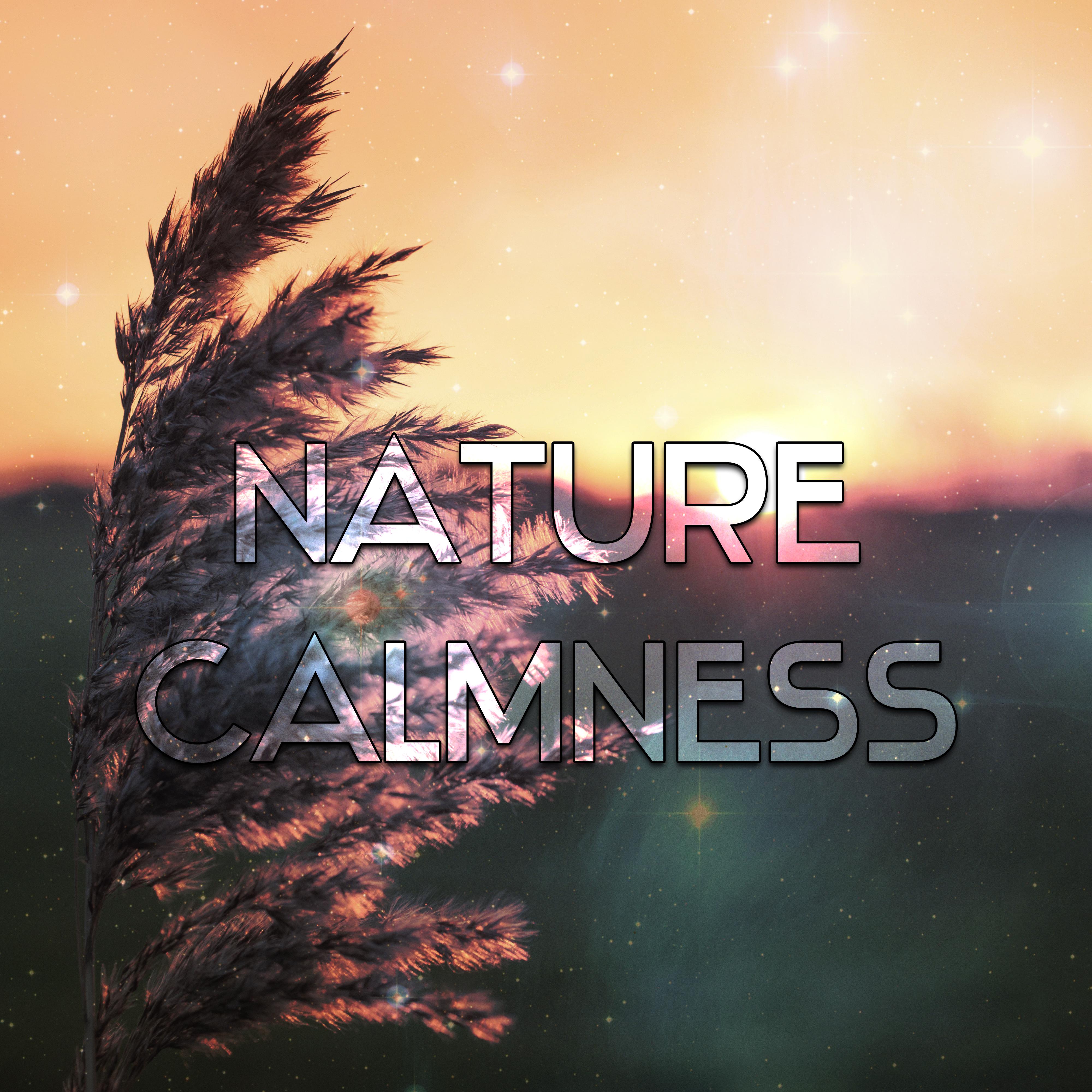 Nature Calmness – Soothing Waves, Stress Relief, Inner Silence, Spirit Harmony, Nature Relaxation