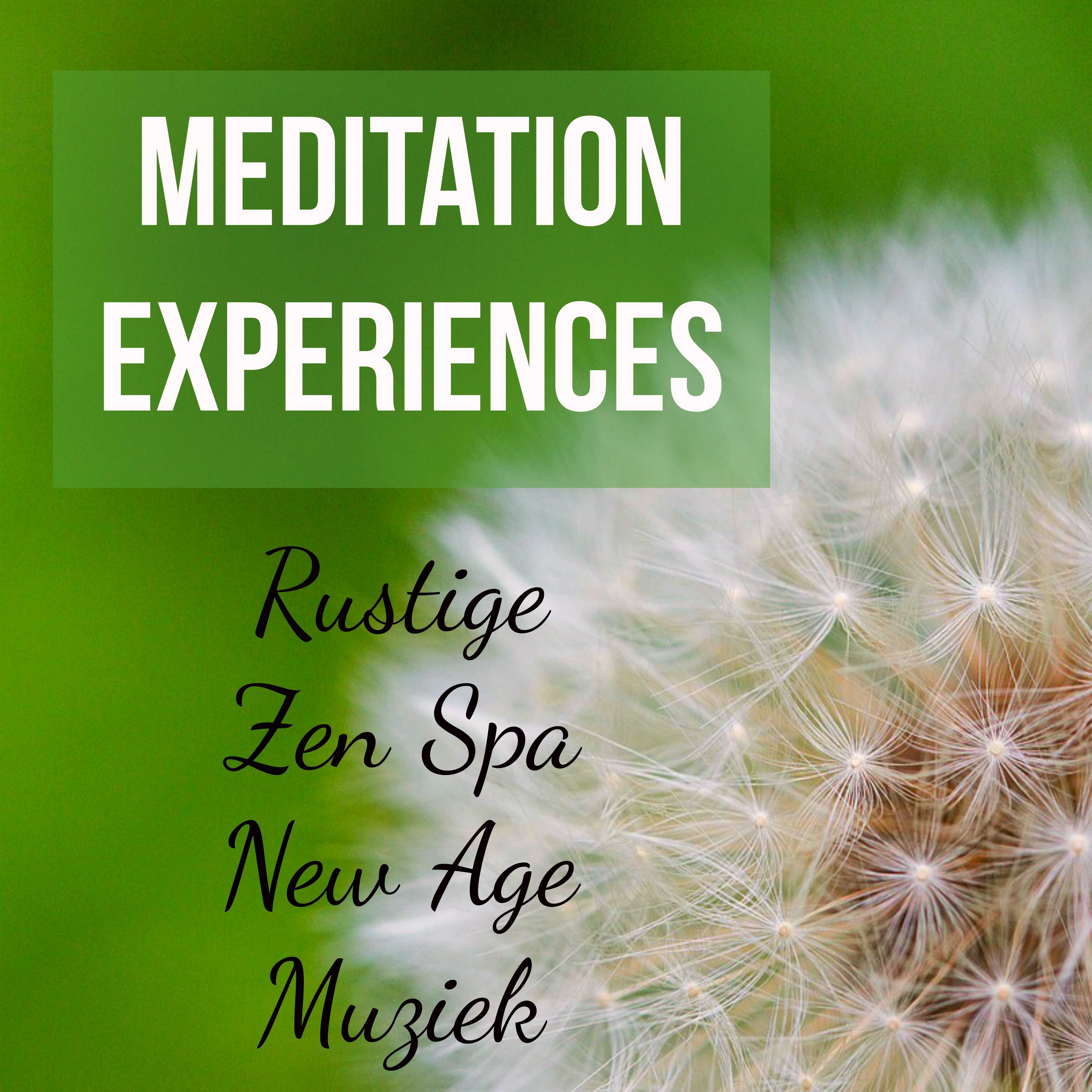 Meditation Experiences - Rustige Zen Spa New Age Muziek voor Reiki Behandeling Slaapcyclus en Chakra Meditatie