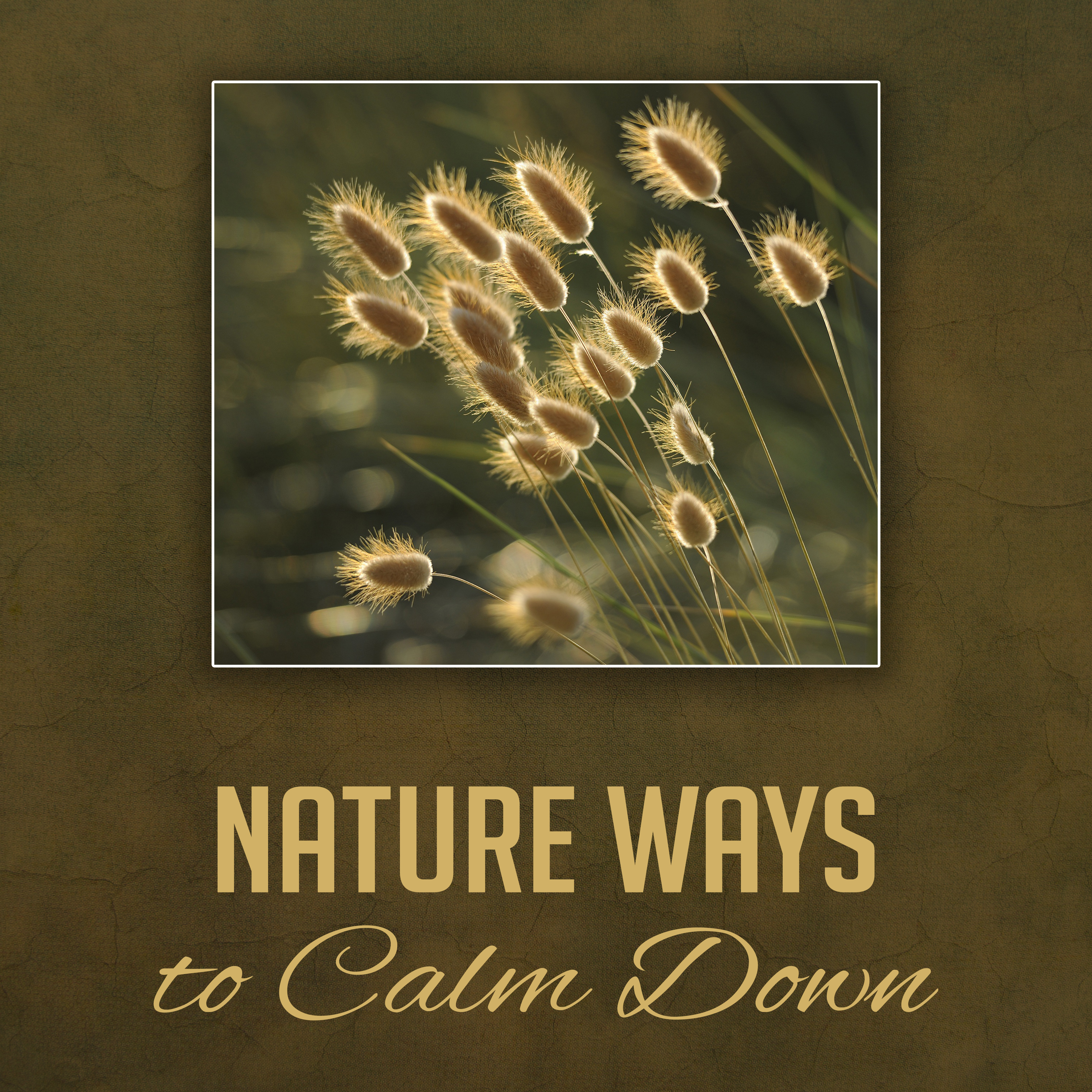 Nature Ways to Calm Down – Soft New Age Music, Peaceful Sounds, Stress Free, Beautiful Memories