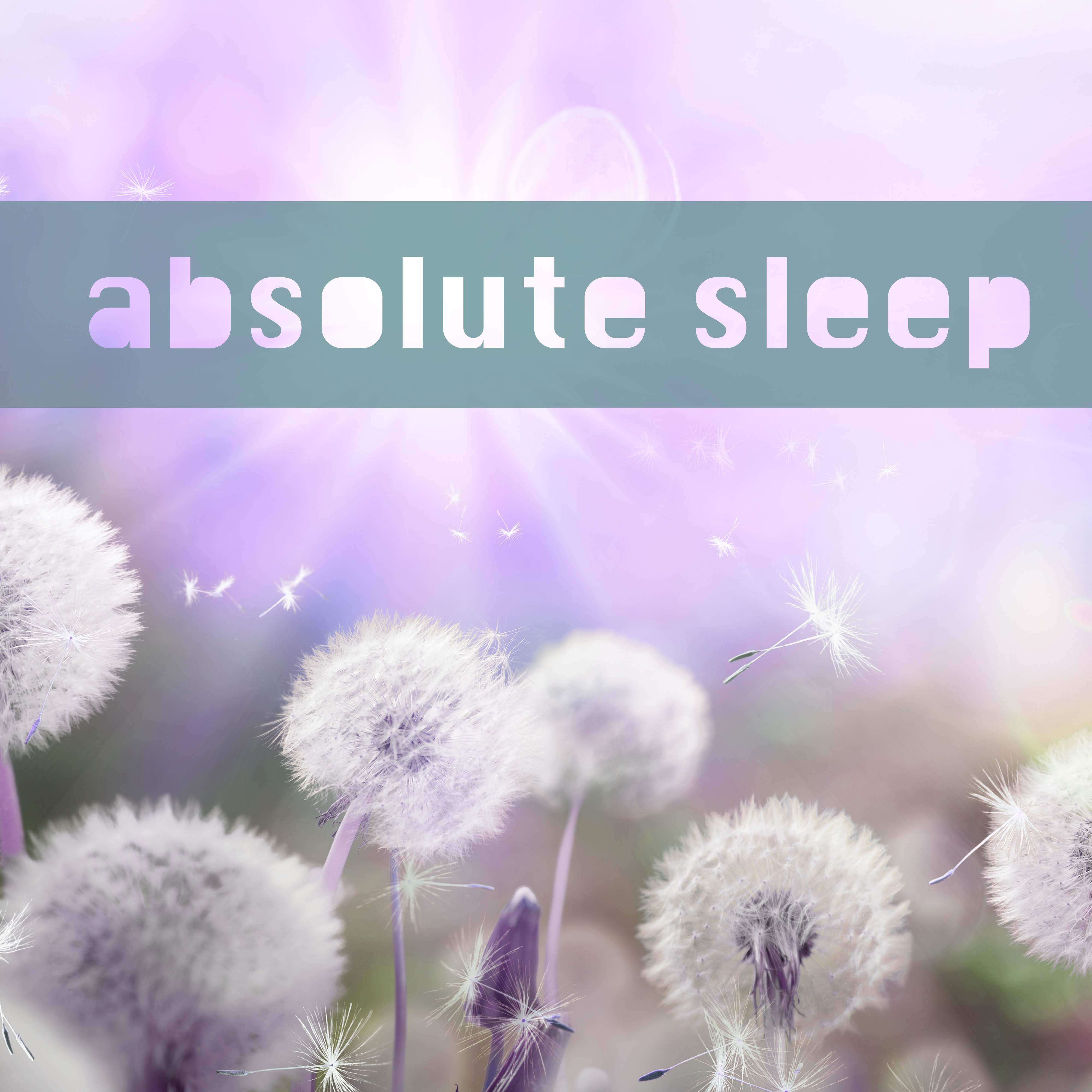 Absolute Sleep - Serenity Music