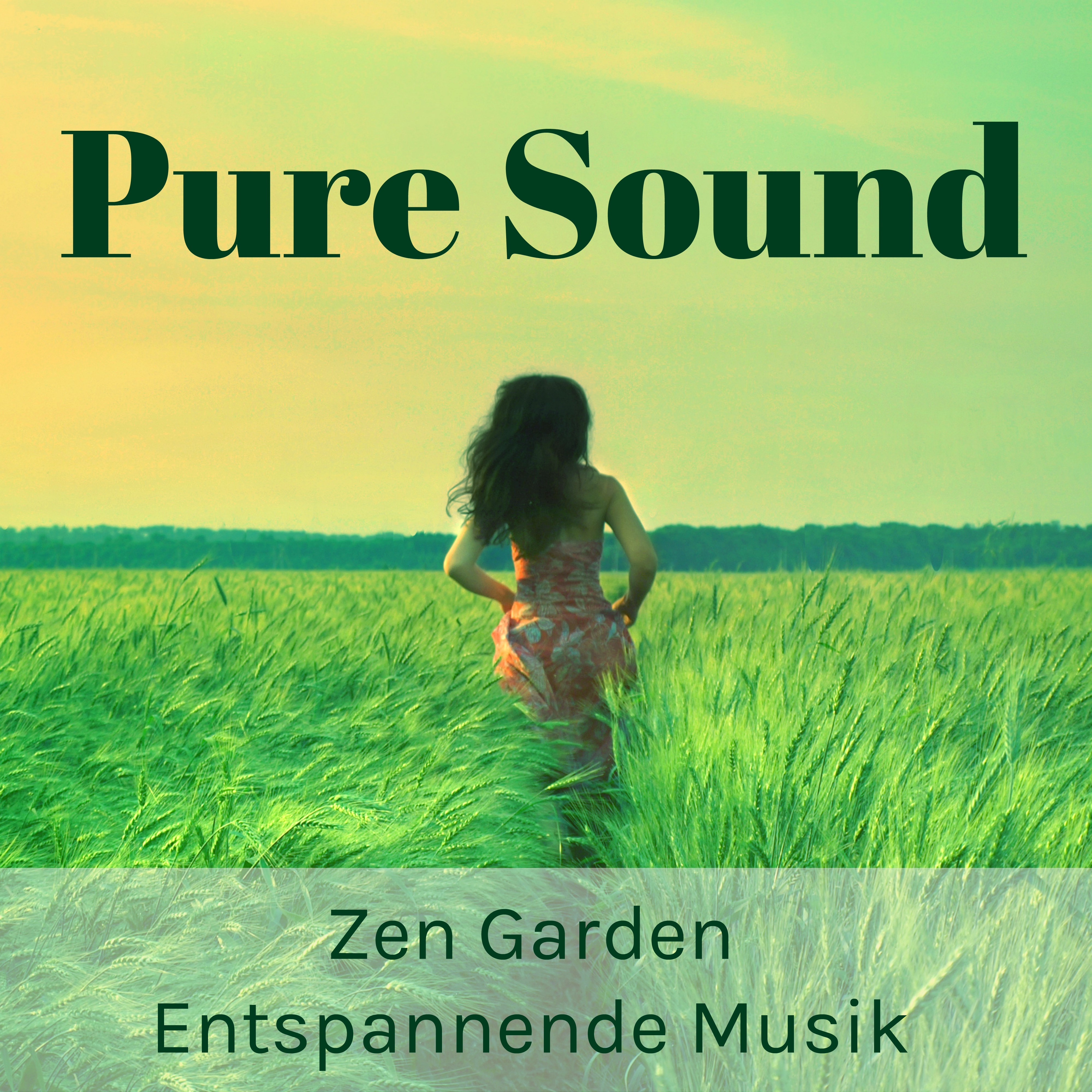 Pure Sound - Zen Garden Entspannende Musik für Gehirnübungen Achtsamkeitstechniken mit Wellness Instrumental Natur Geräusche