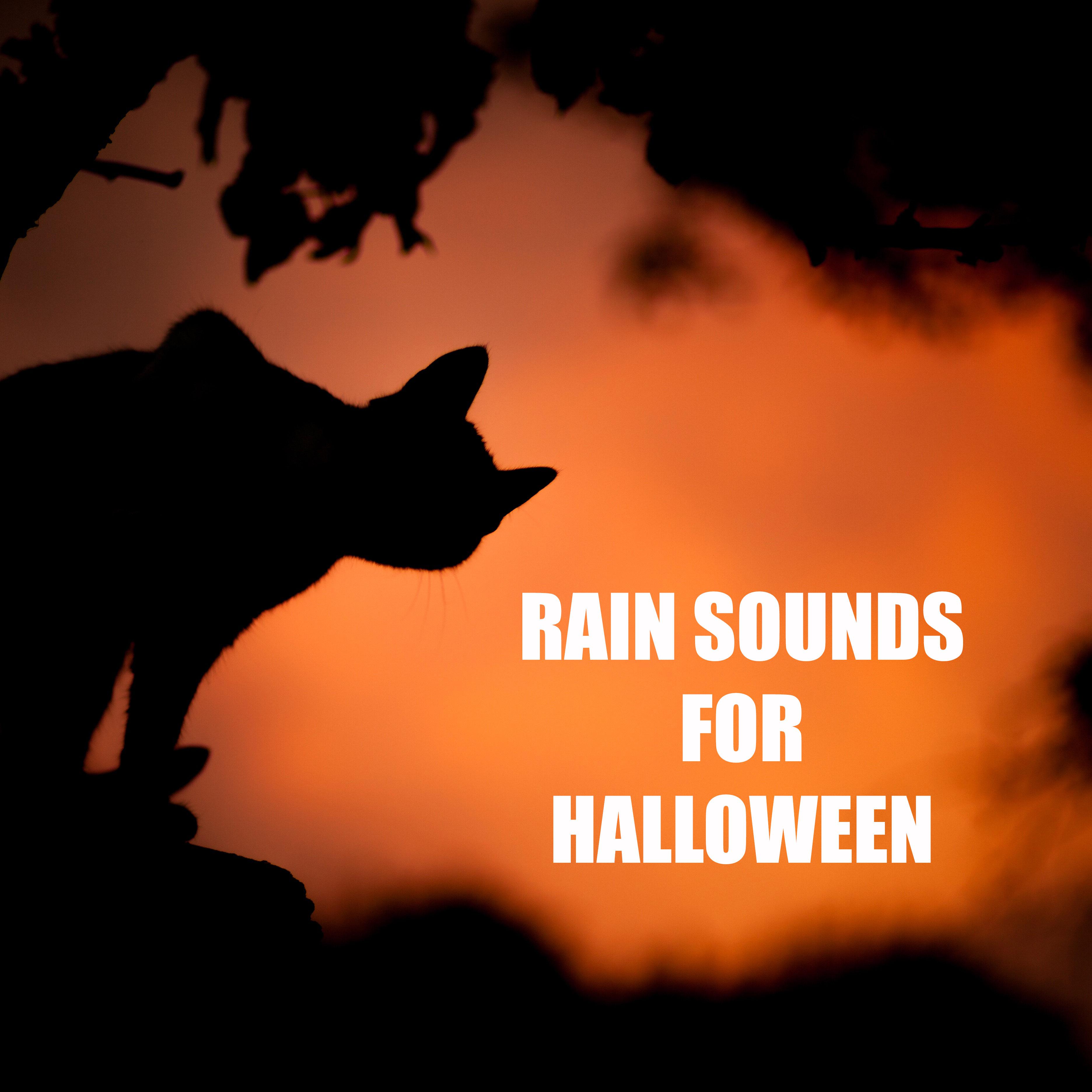 10 Halloween Rain Sounds - Spooky Rain Sounds for Halloween. Halloween Sound Effects - Rain