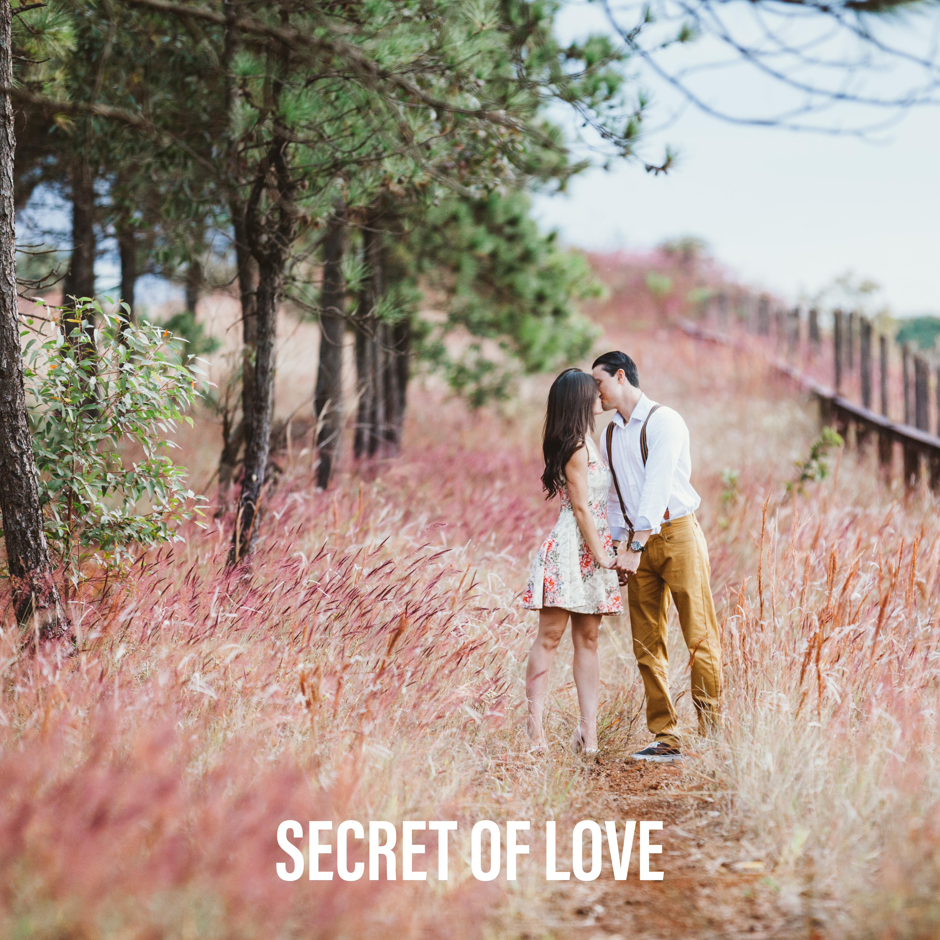 Secret of Love - Wonderful Feeling, Wonderful Love, Infatuation and Servitude, Moments Together, True Religion