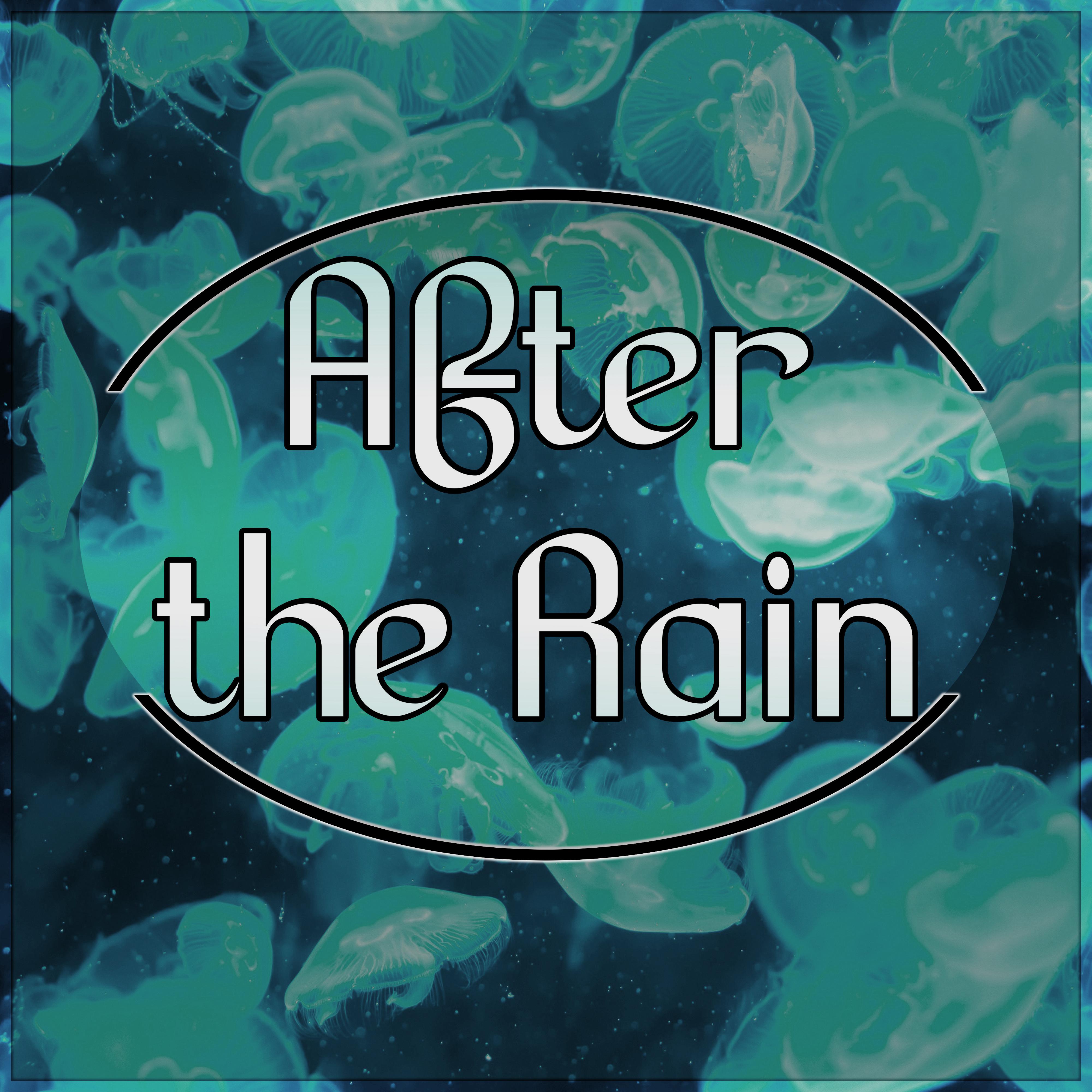 After the Rain - Reiki Therapy, Massage Music, Inner Peace, Relaxation Meditation, Yoga, Spa Wellness, Regeneration, Body Therapy