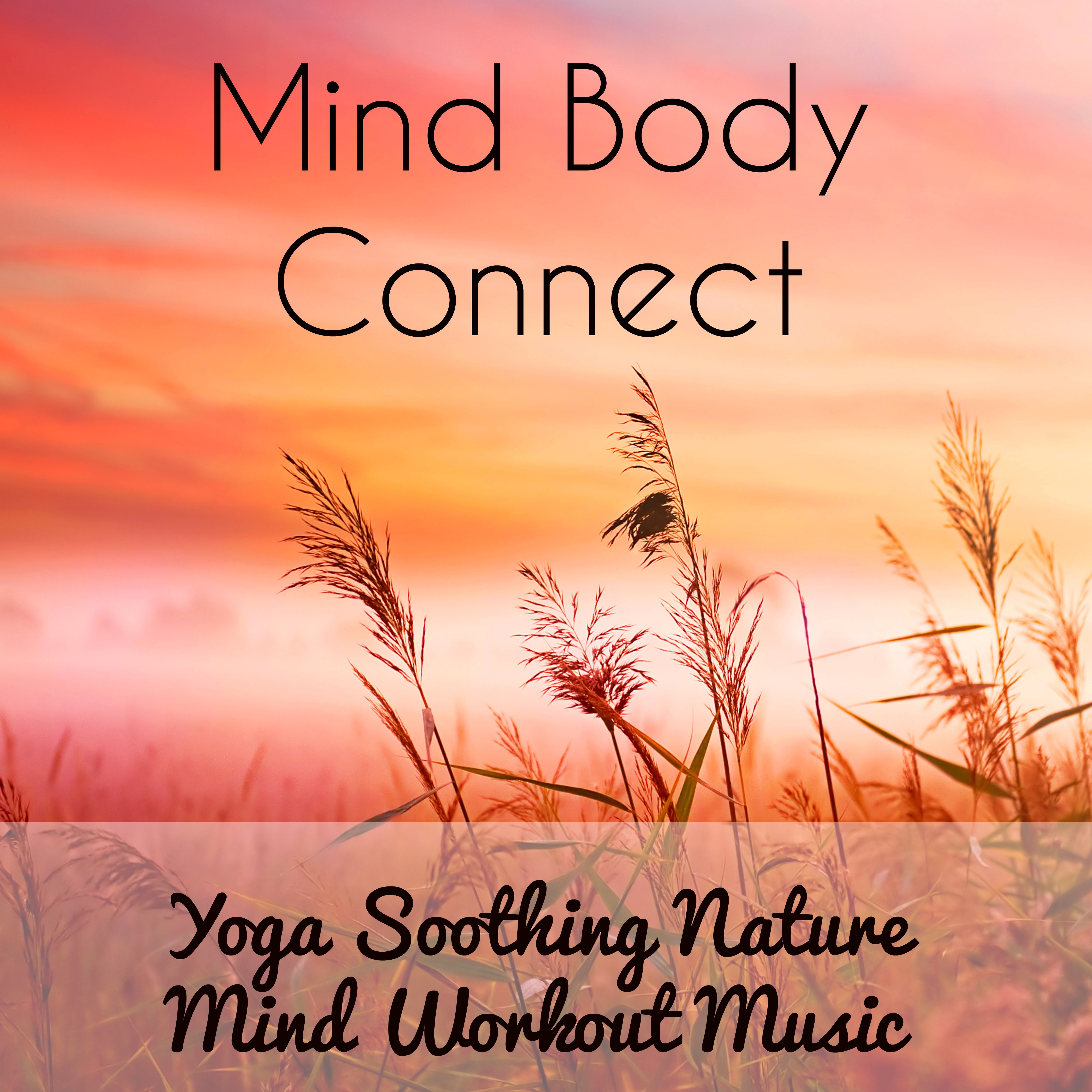 Mind Body Connect - Yoga Soothing Nature Mind Workout Music to Open Your Heart Chakra Healing and Mindfulness Meditation