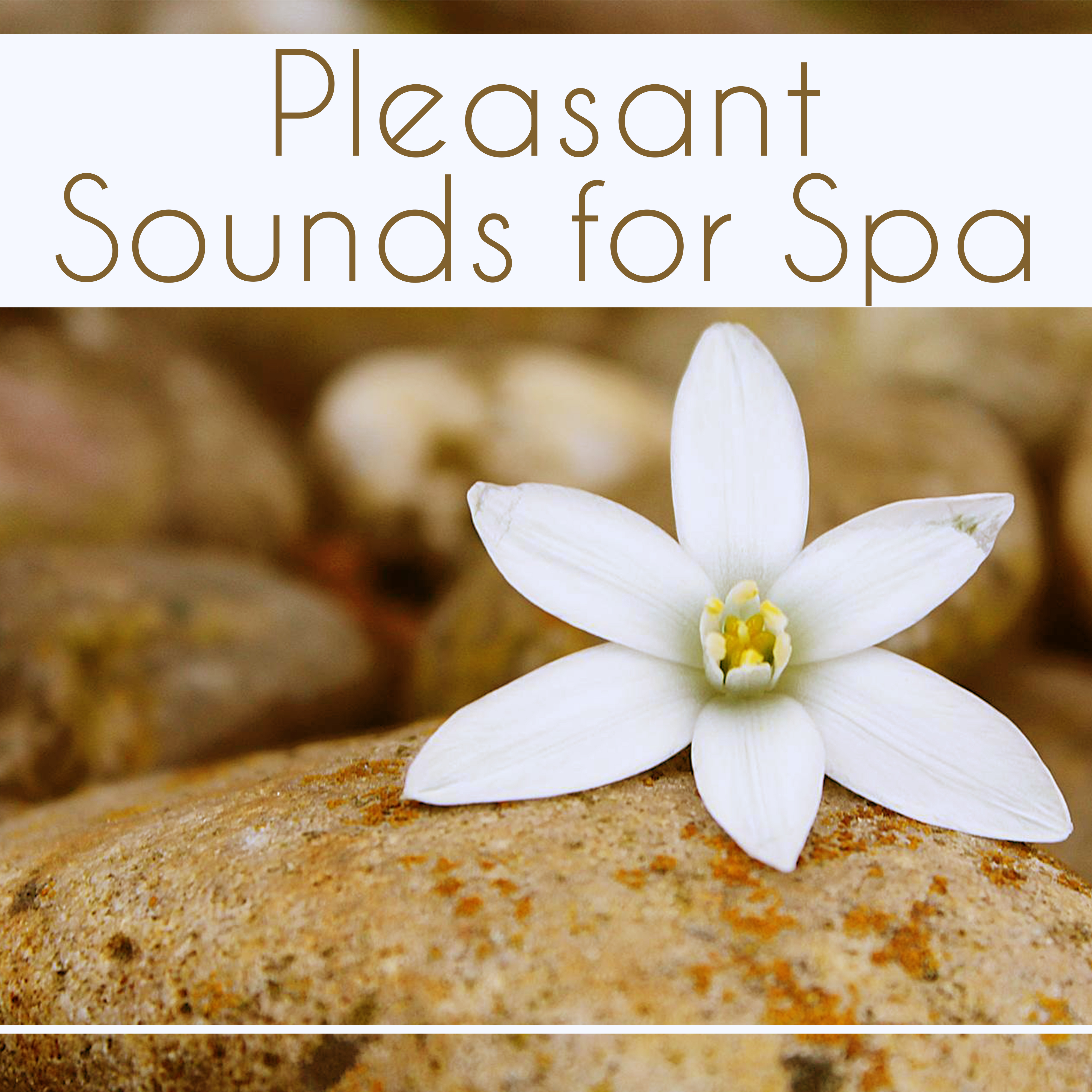 Pleasant Sounds for Spa – Nature Sounds for Relaxation, Deep Massage, Singing Birds, Relaxing Waves, Meditation Spa, Music for Wellness, Calming Melodies