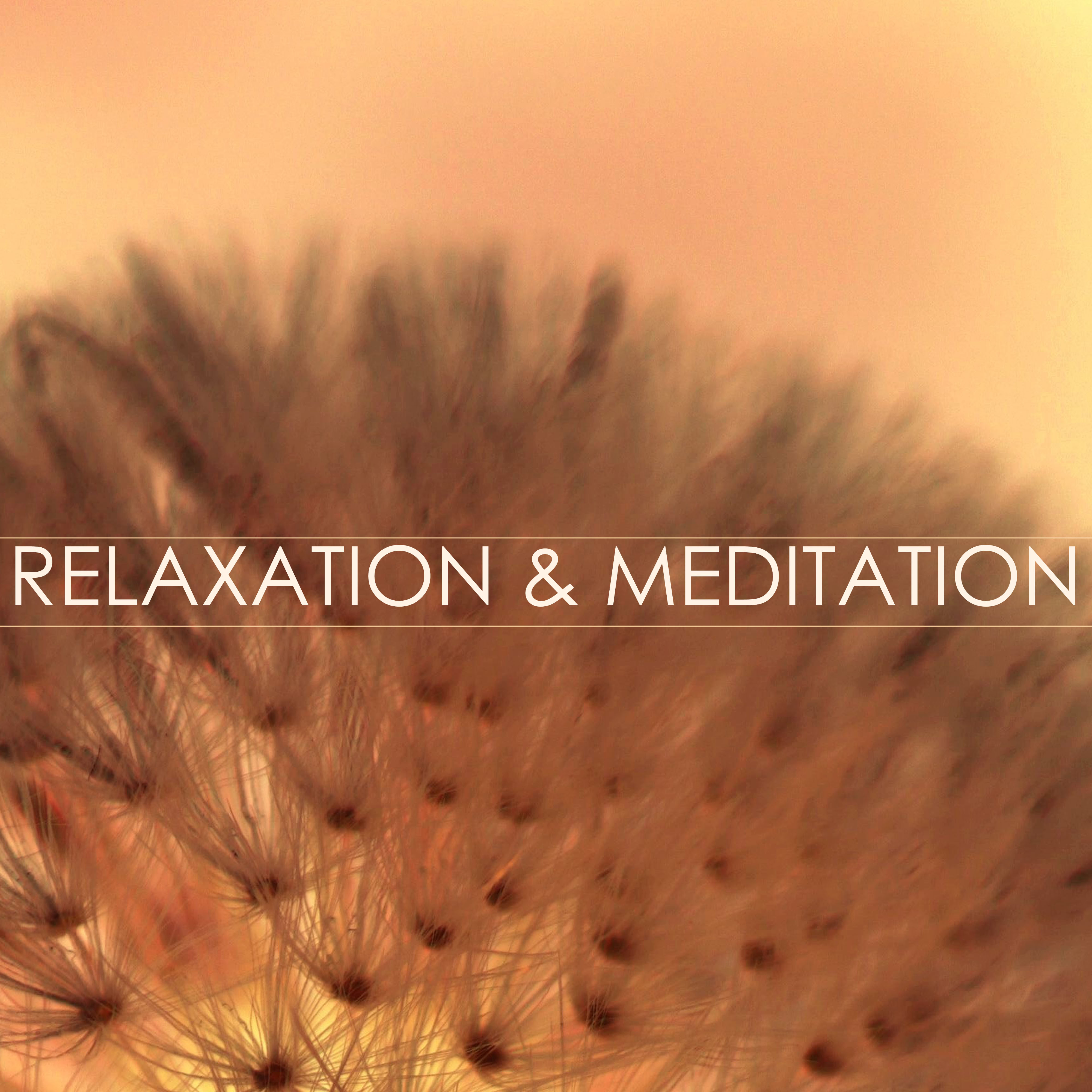 Relaxation & Meditation Background Music