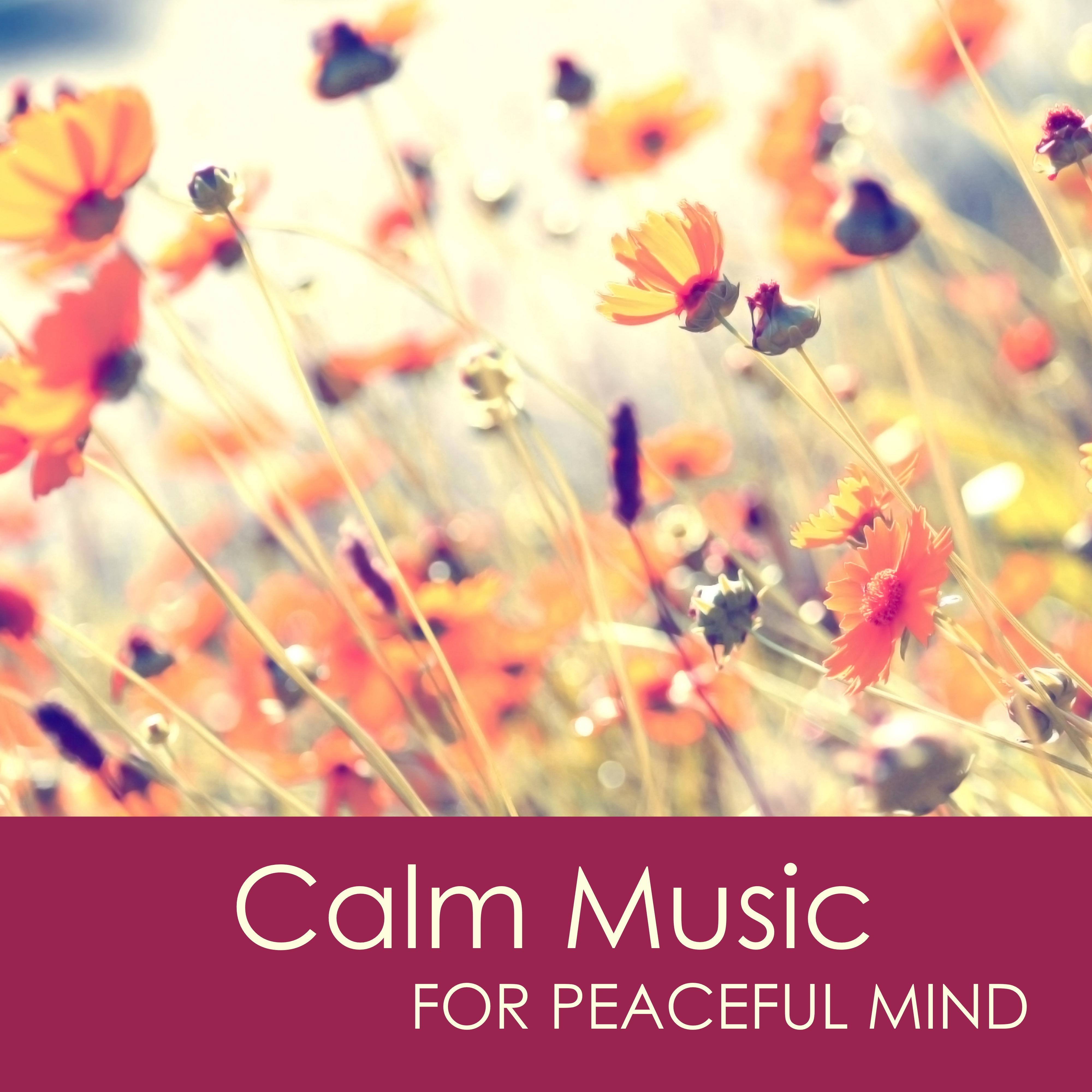 Calm Music for Peaceful Mind - Relaxing Meditation Music & Yoga Sleep Music for Stress Relief and Healing