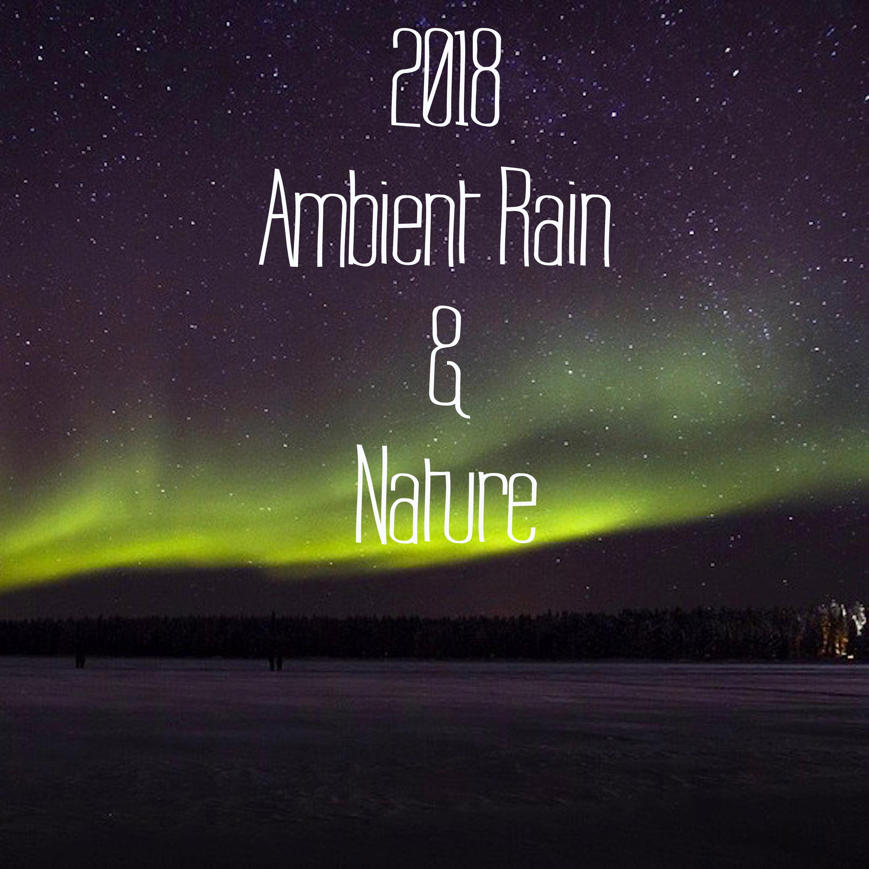 2018 Ambient Rain and Nature Sounds for Deep Sleep