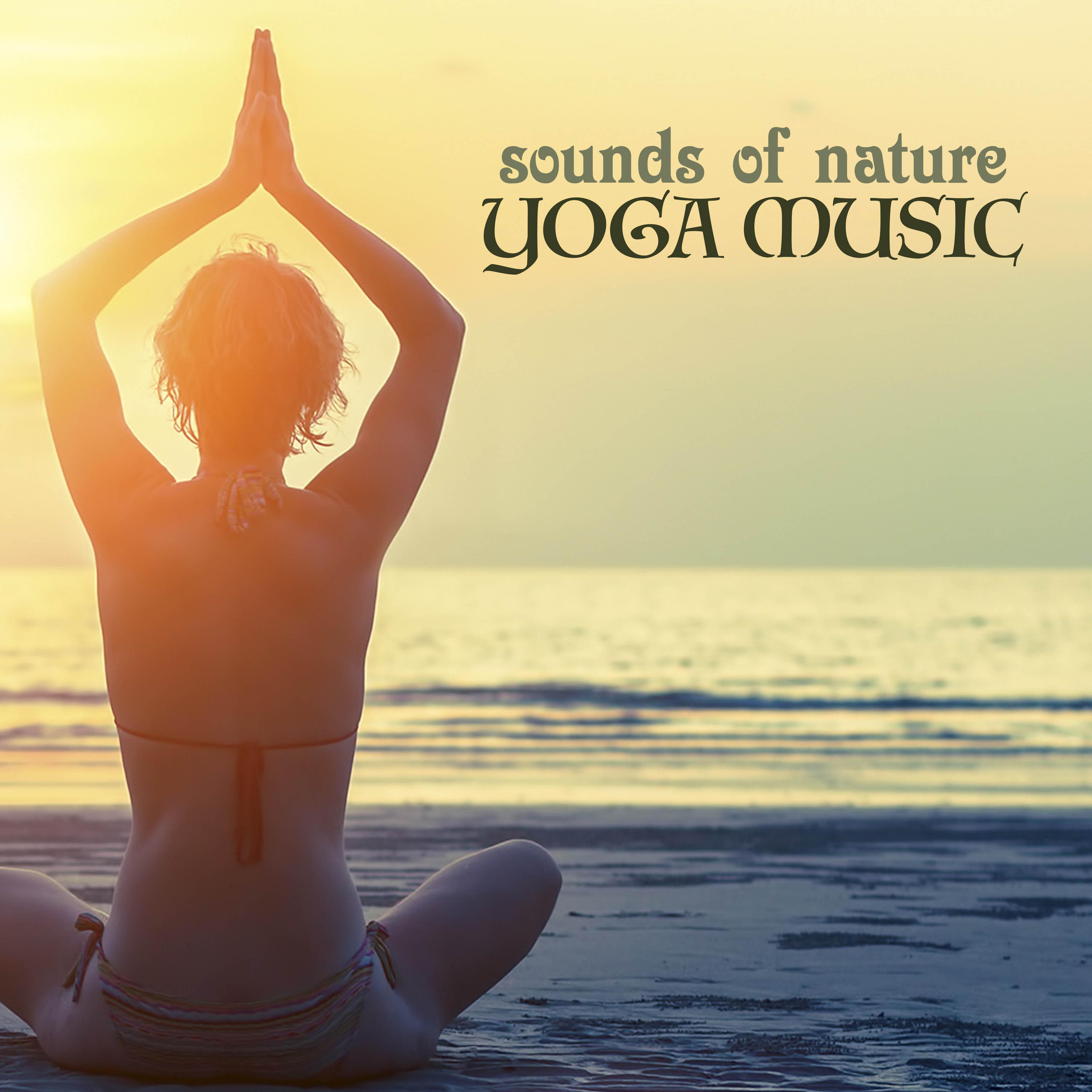 Sounds of Nature Yoga Music