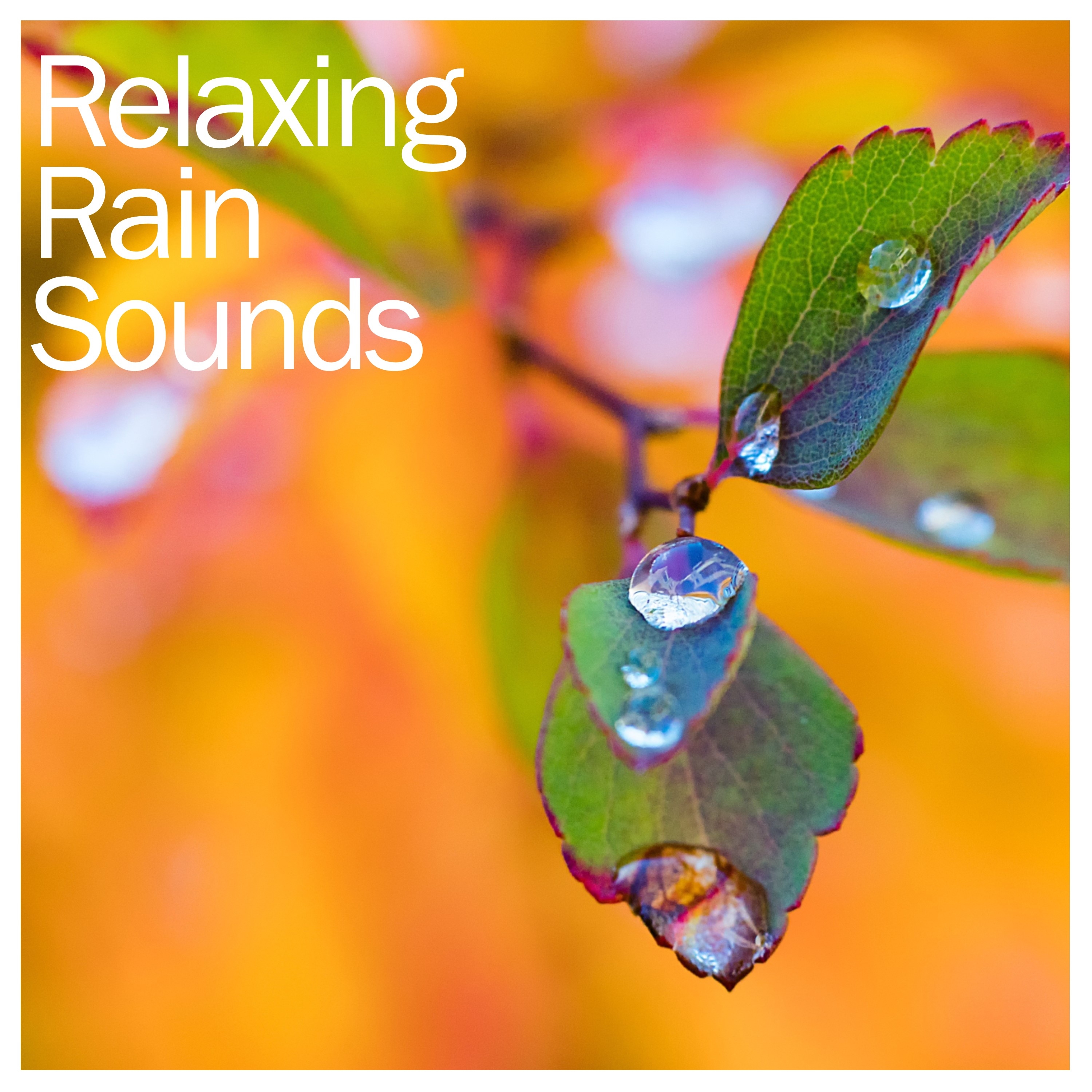 15 Relaxing Music Therapy Rain Sounds - Loopable, No Fade