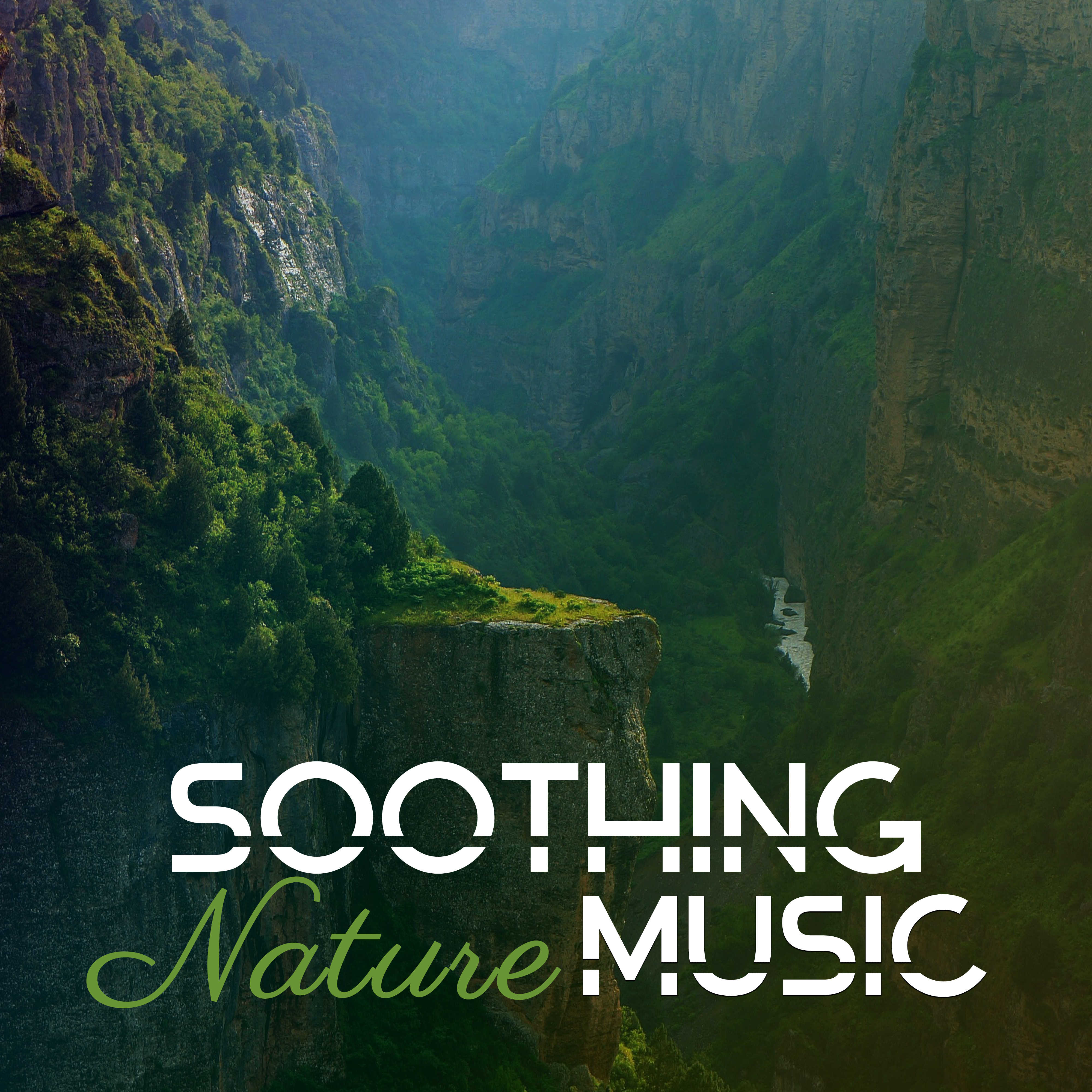 Soothing Nature Music – Relaxing Sounds to Calm Down, Easy Listening, New Age Music, No More Stress