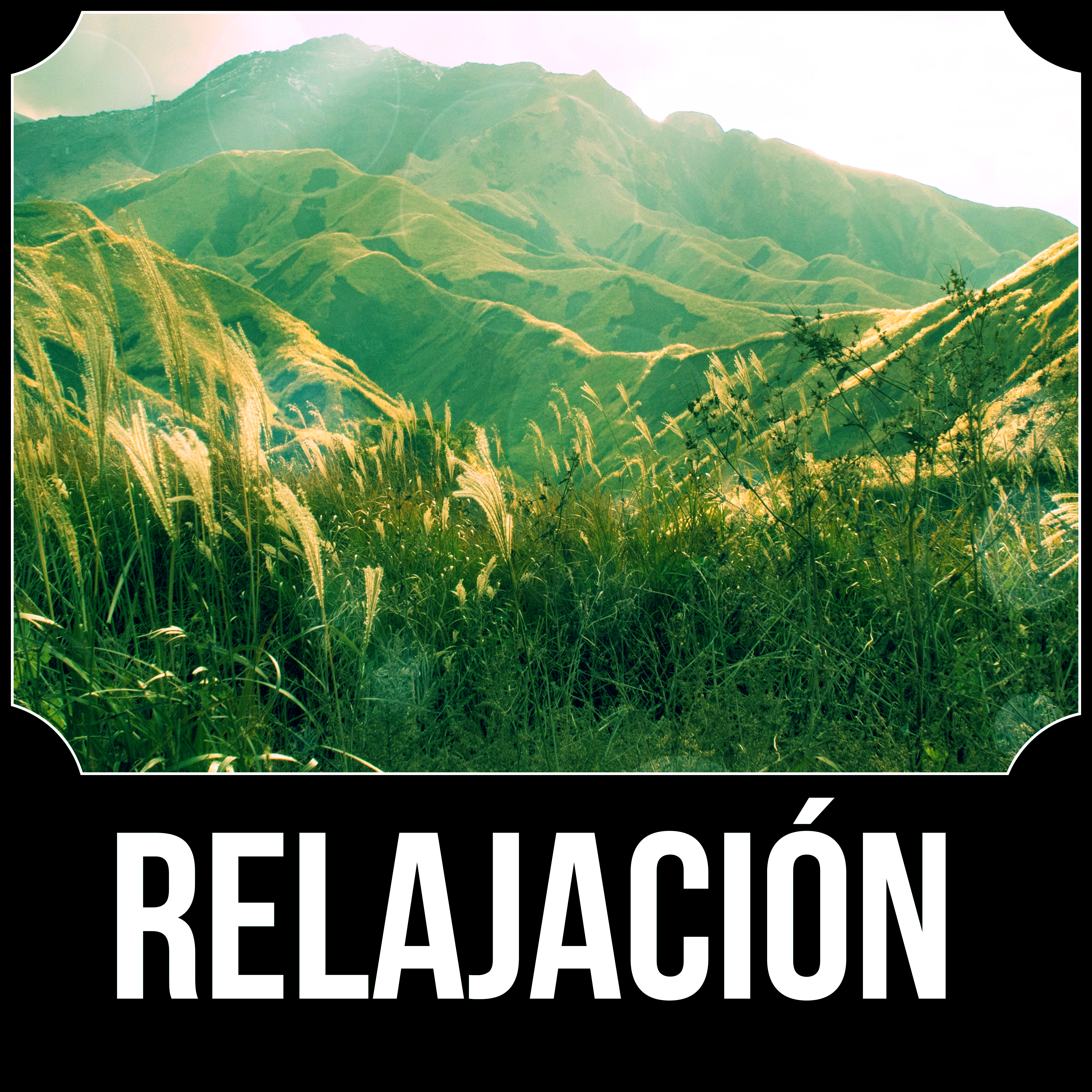 Relajación - Sonidos de la Naturaleza para Meditacion y Reiki, Musica para Yoga, Musica para Dormir, Pensamiento Positivo, Musica para Meditar e Musica de Relax