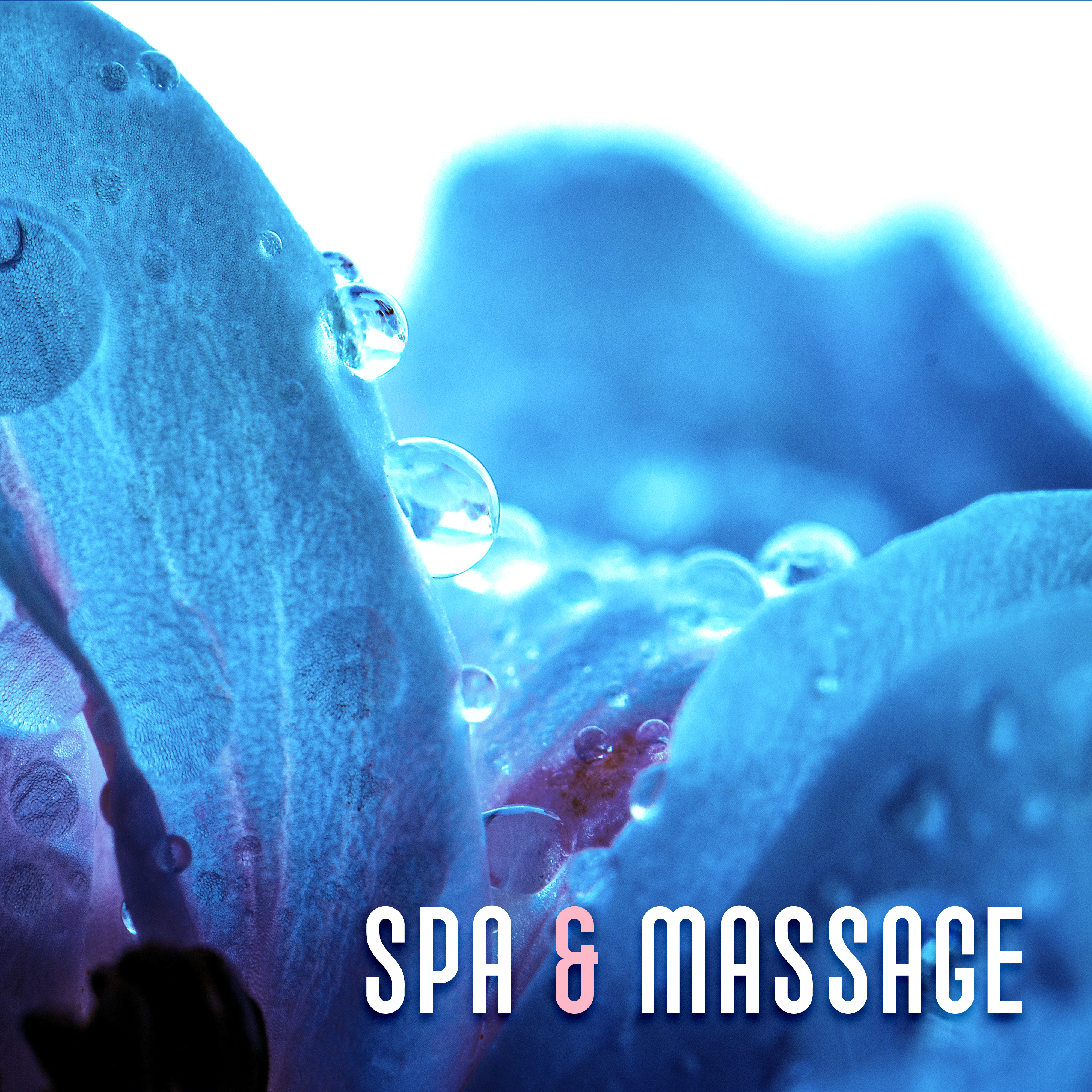 Spa & Massage – Music for Relaxation, Stress Free, Meditation Music, Wellness, Spa Dreams, Nature Sounds, Relief