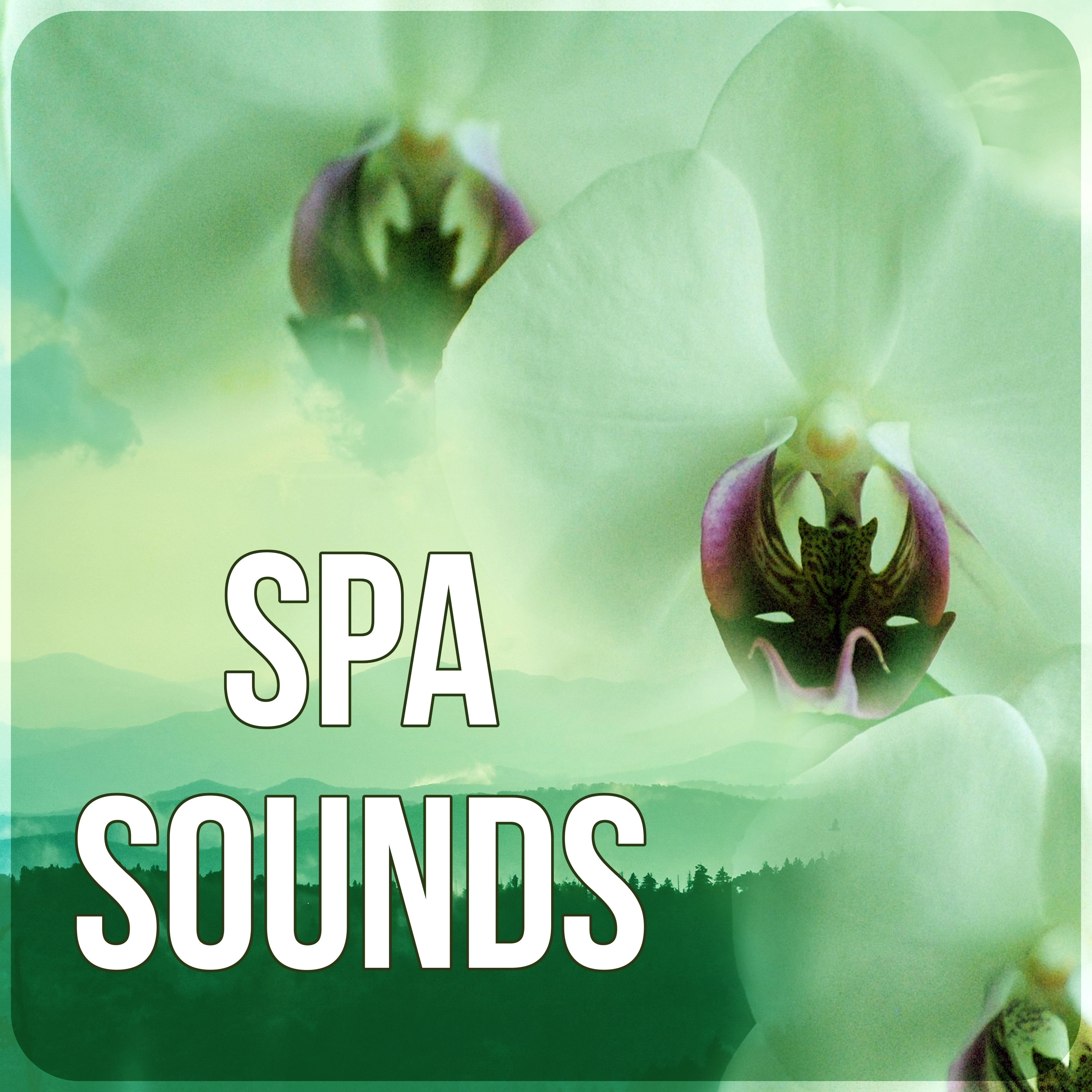 Spa Sounds – Relaxing Music, Sounds of Nature for Massage, Spa & Yoga, Relaxation, Meditation, Reiki, Wellness, Sleep, Natural White Noise, Reflexology, Shiatsu, Physical Therapy